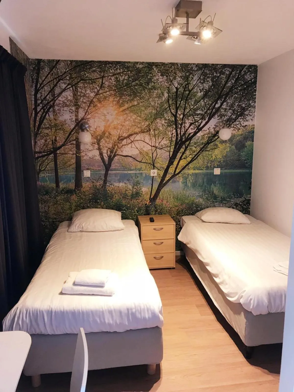 Photo of the whole room, Bed in Hotel Velsen