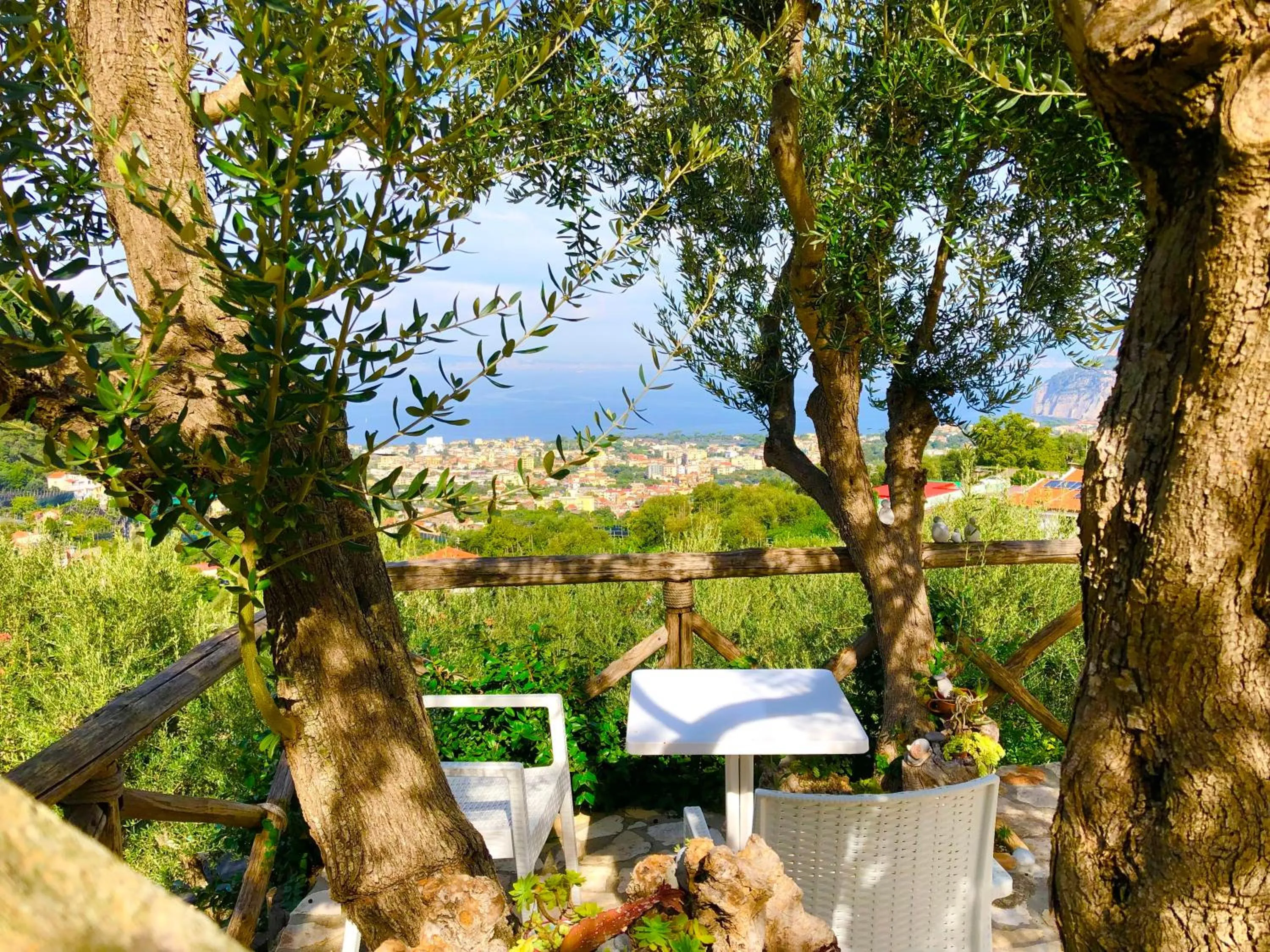 Garden in Casa Mazzola