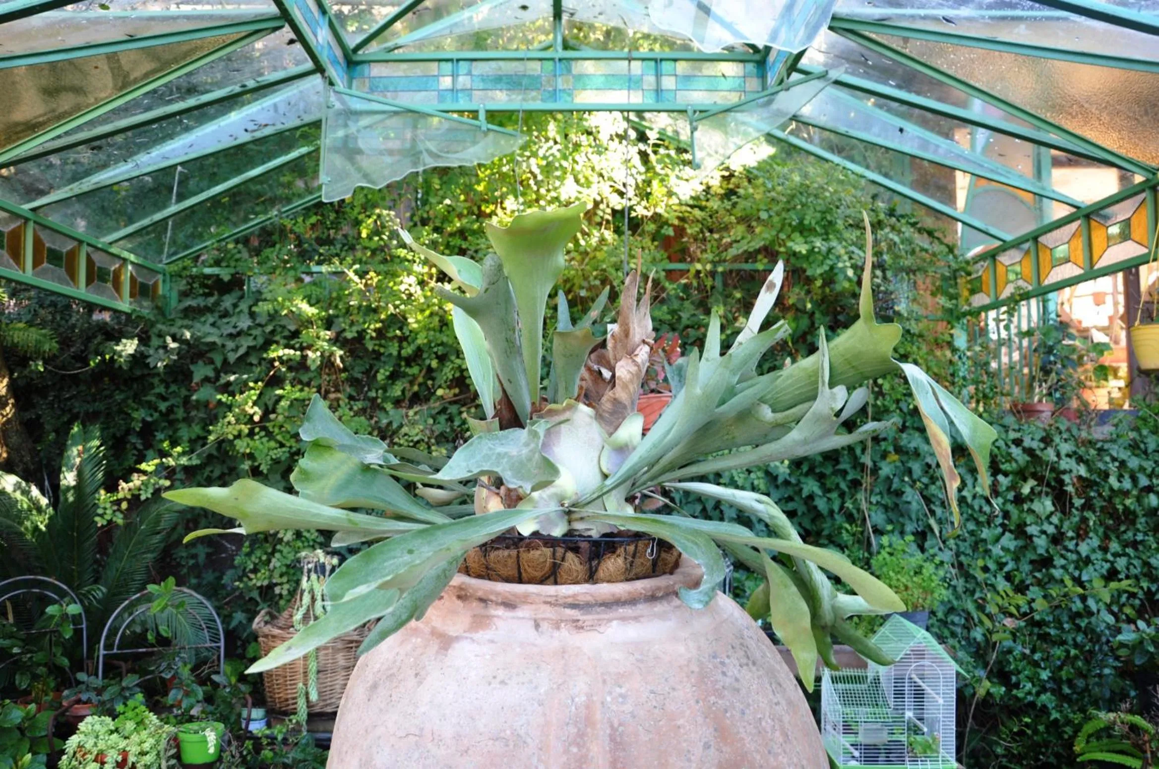 Patio in Casa Mazzola