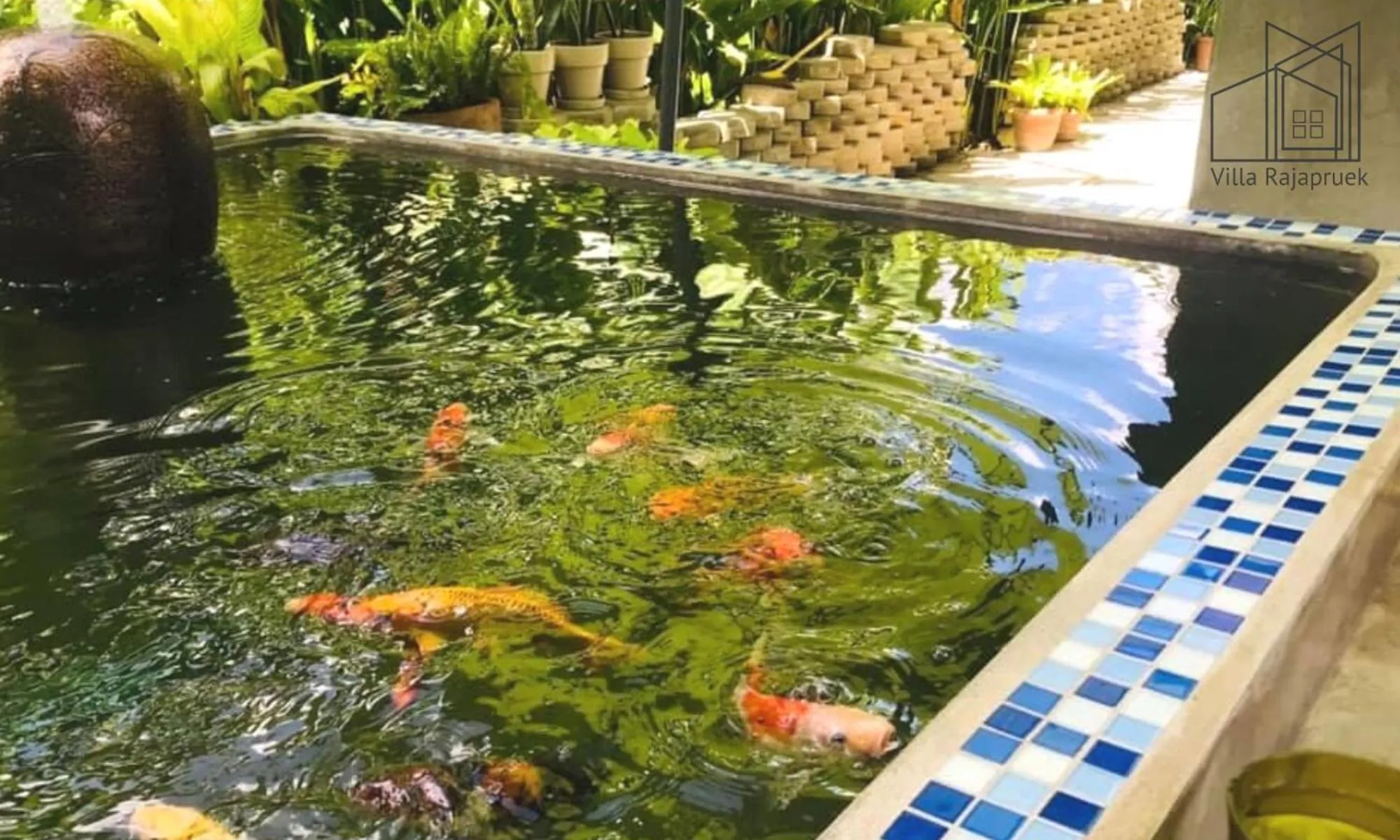 Pets in Villa Rajapruek Exclusive Entire Private 3 Villas rental near Airport