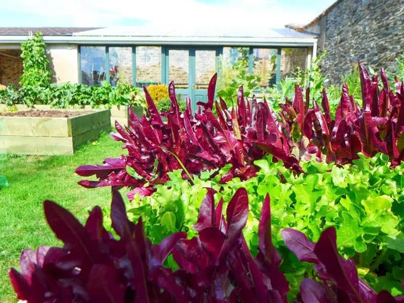 Garden in Tinakilly Country House Hotel