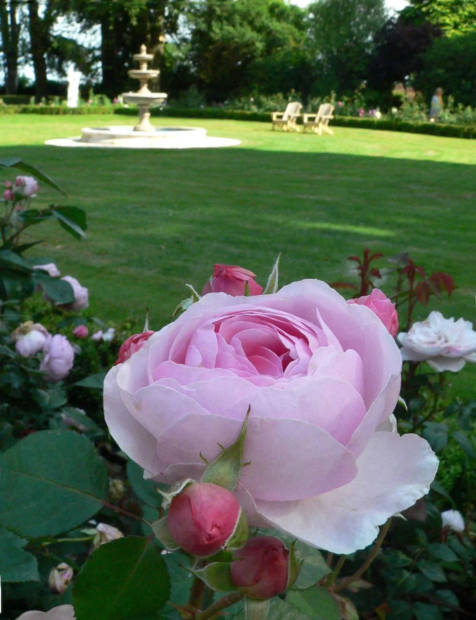 Garden in Tinakilly Country House Hotel