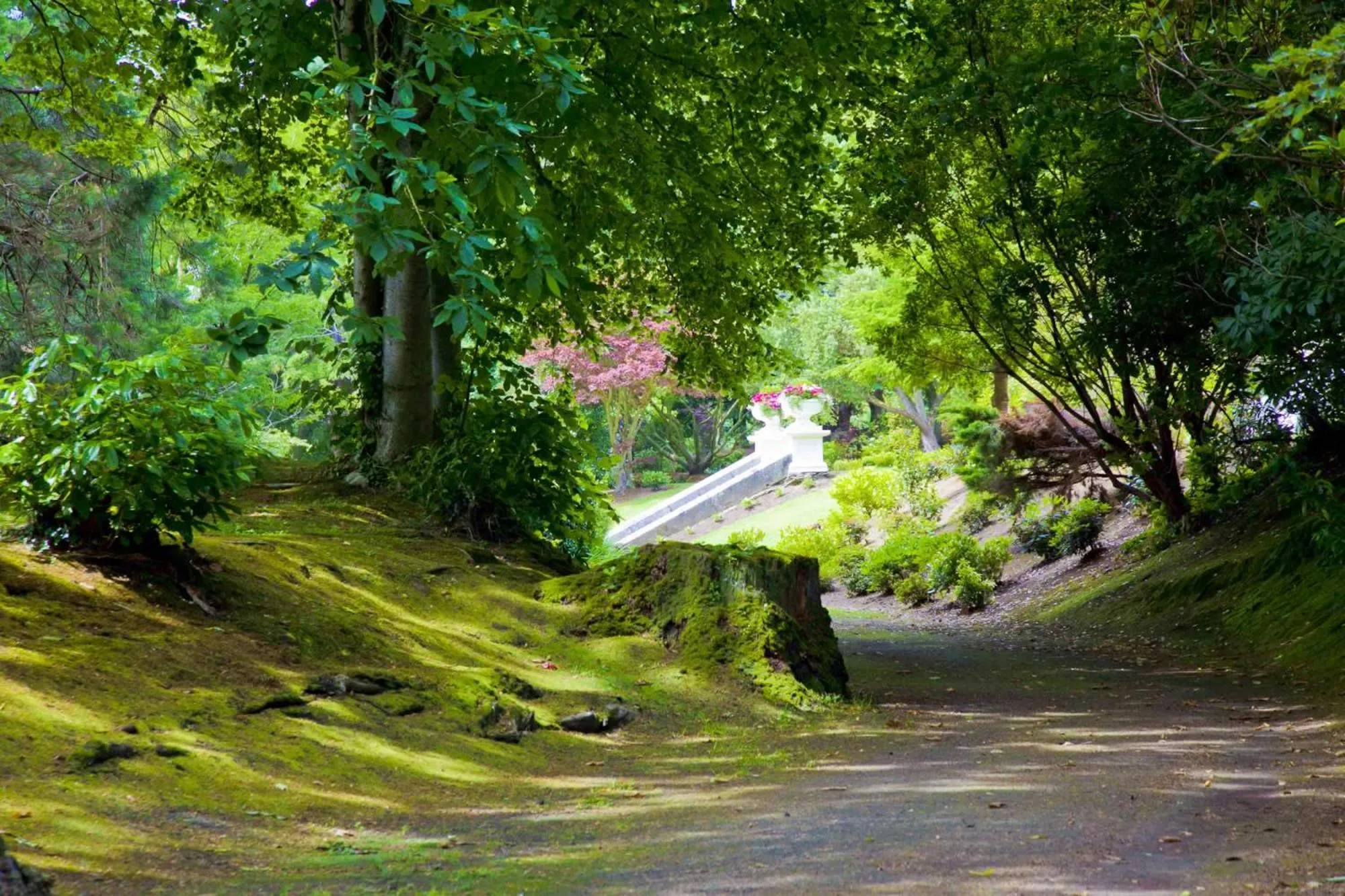 Garden in Tinakilly Country House Hotel