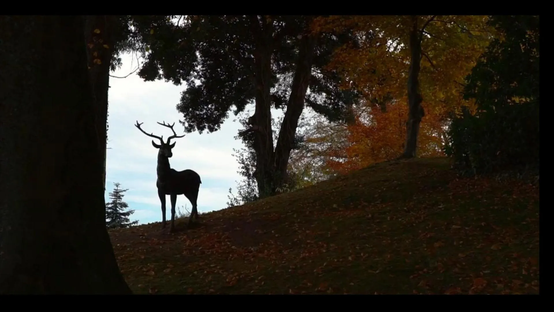 Garden in Tinakilly Country House Hotel
