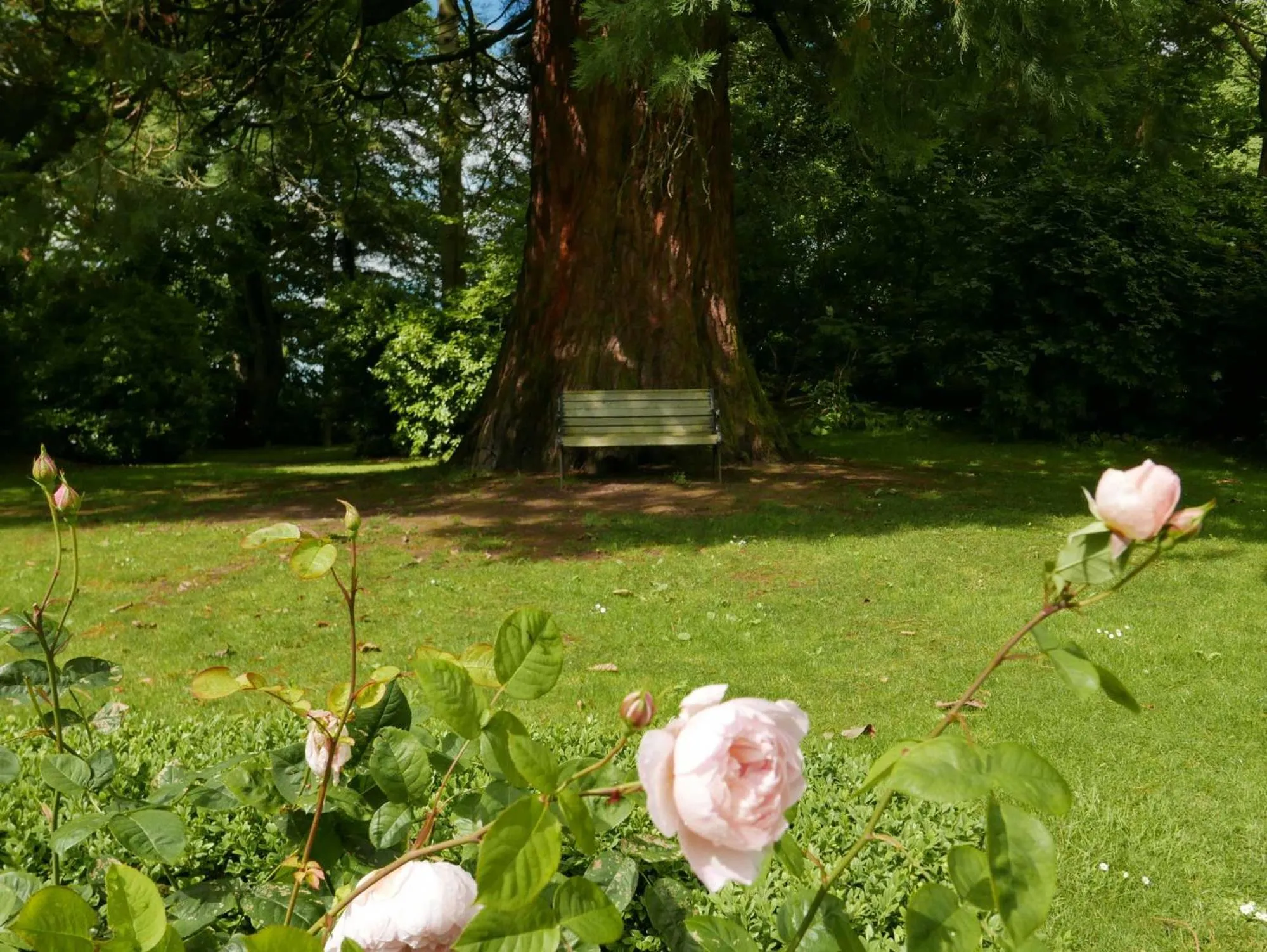 Garden in Tinakilly Country House Hotel