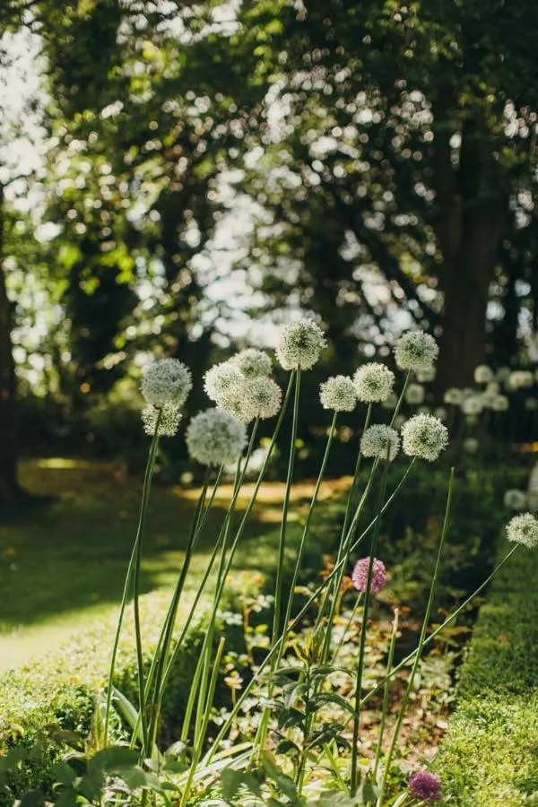 Garden in Tinakilly Country House Hotel
