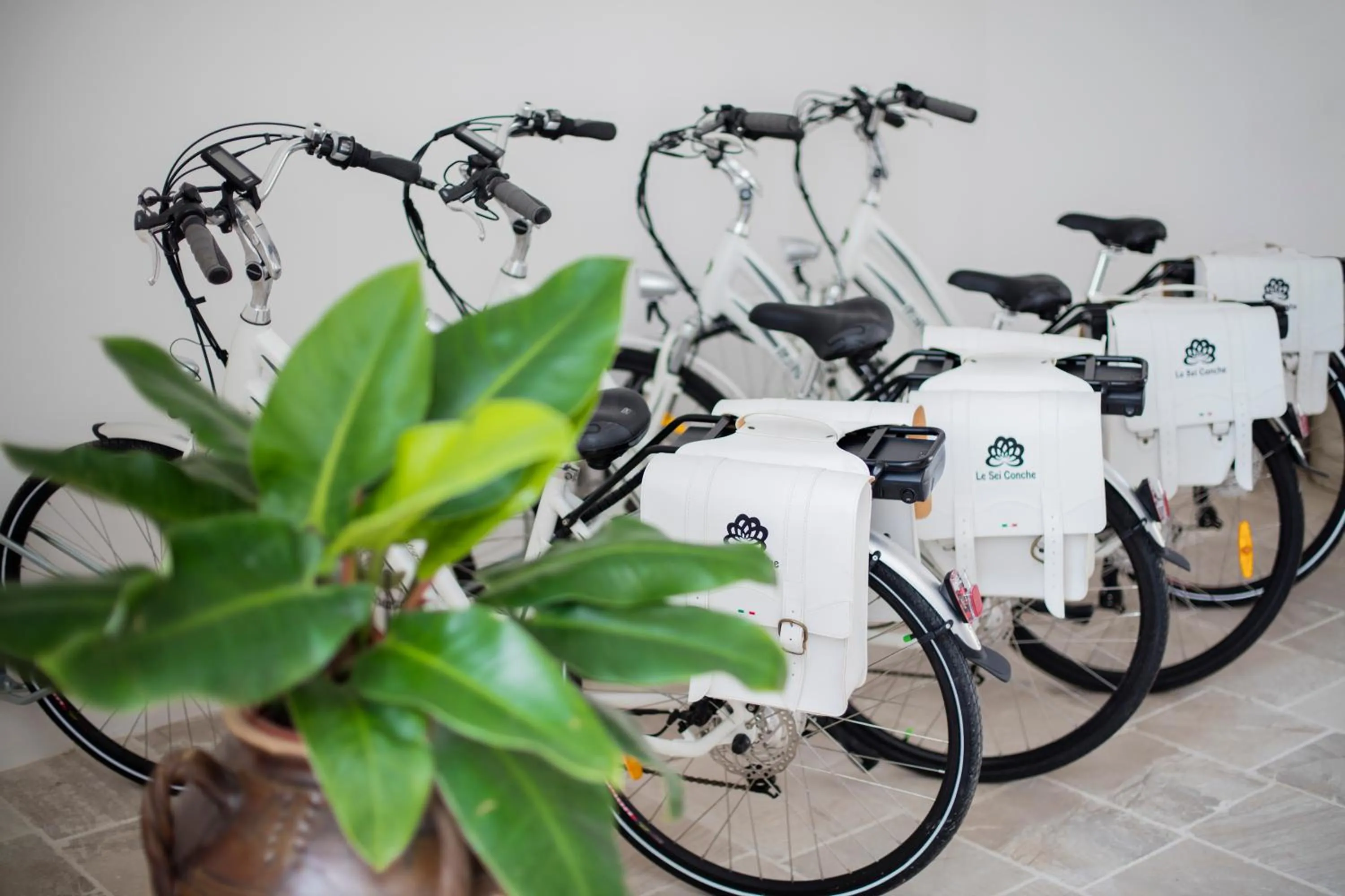 Activities in Le Sei Conche Relais & SPA