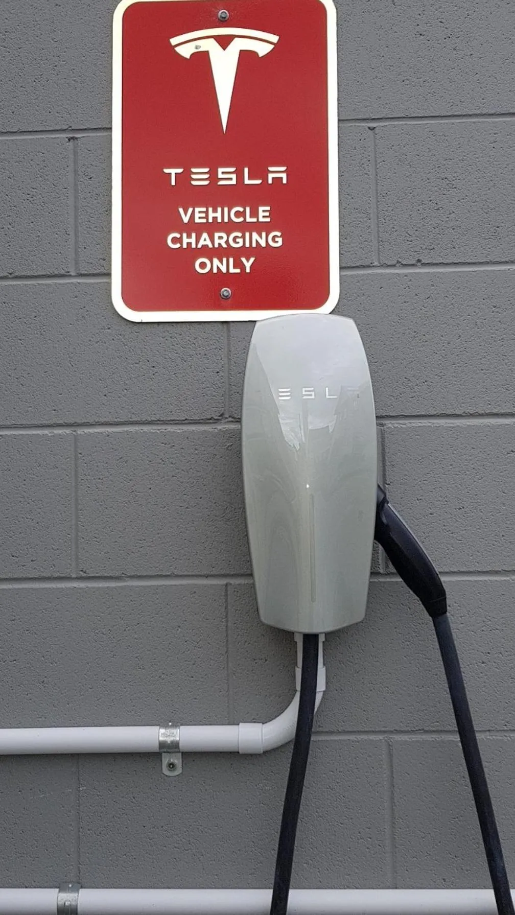 Other in THE MEWS Oamaru