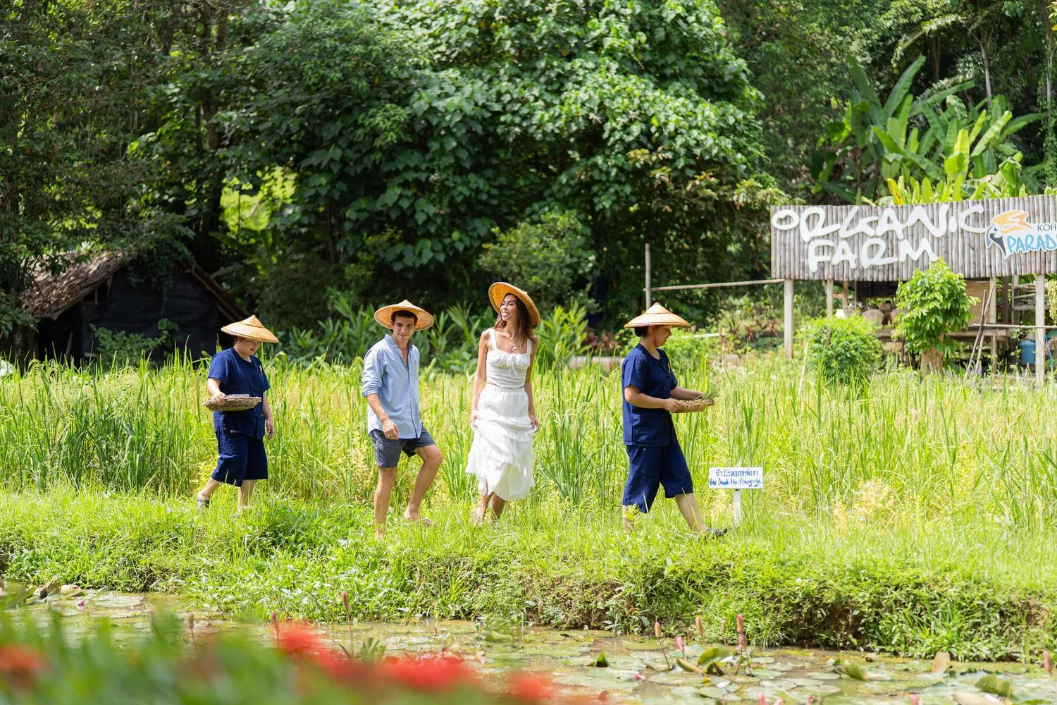 Garden view in Paradise Koh Yao