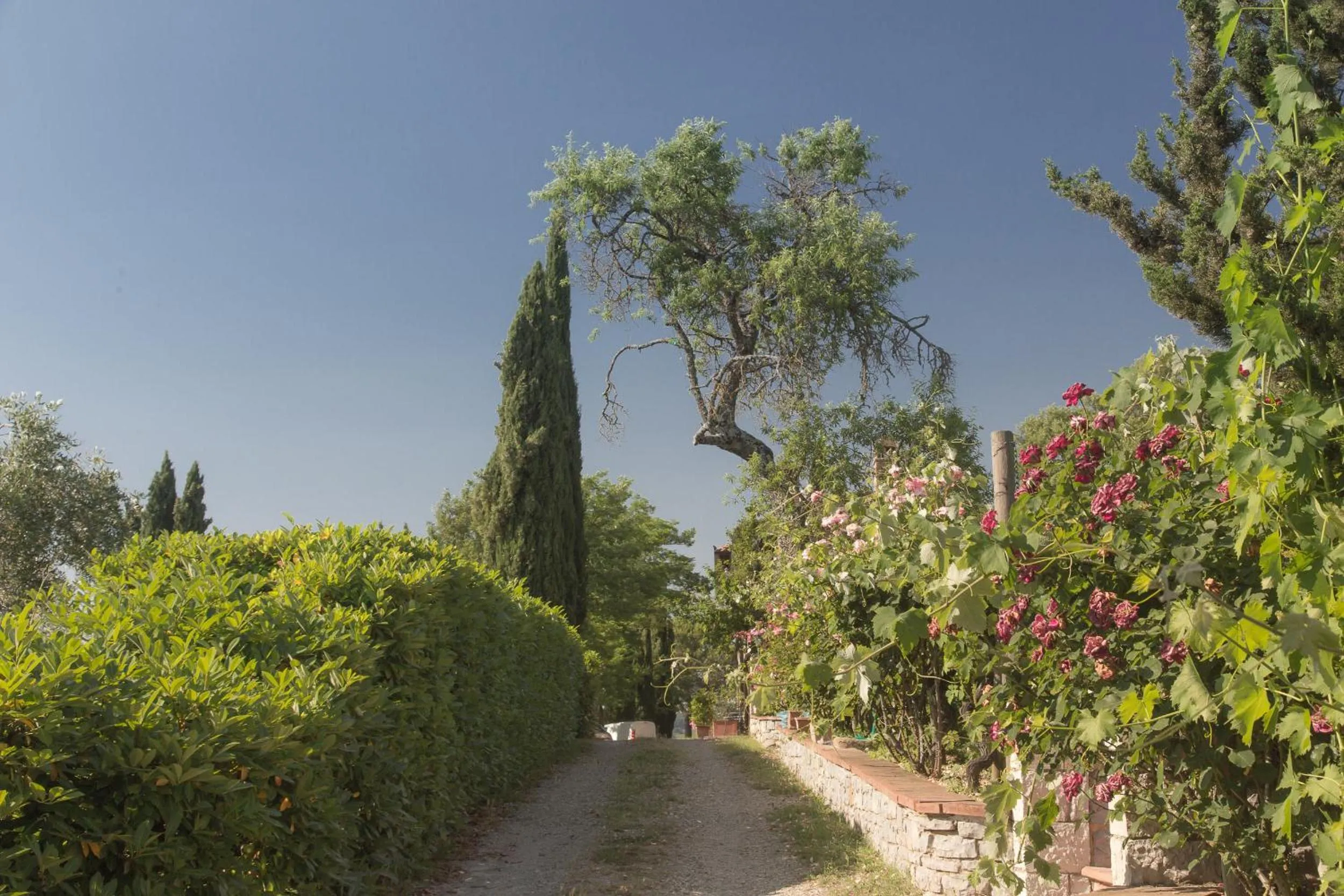 Facade/entrance in Relais Santa Cristina
