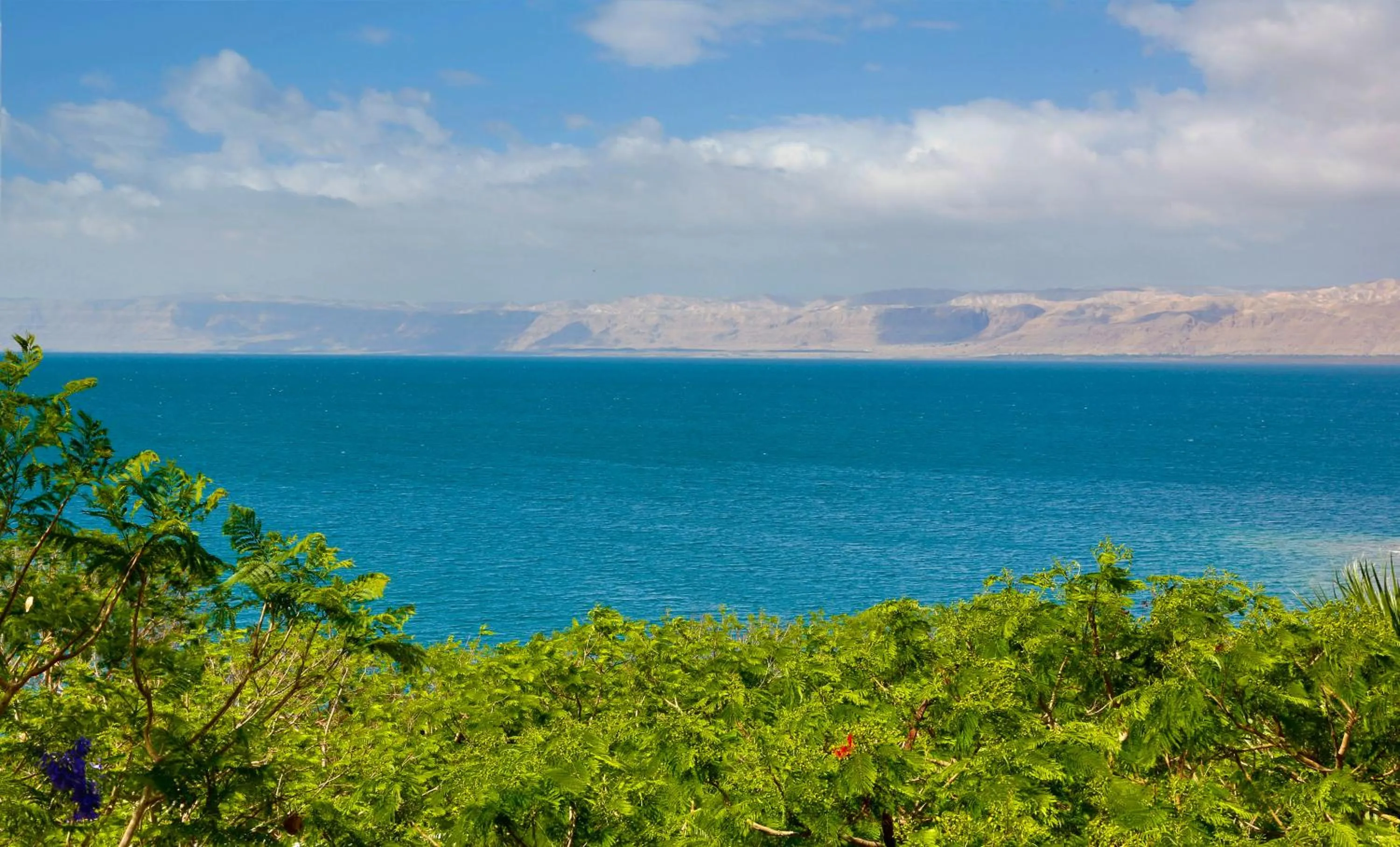 Other in Holiday Inn Resort Dead Sea by IHG