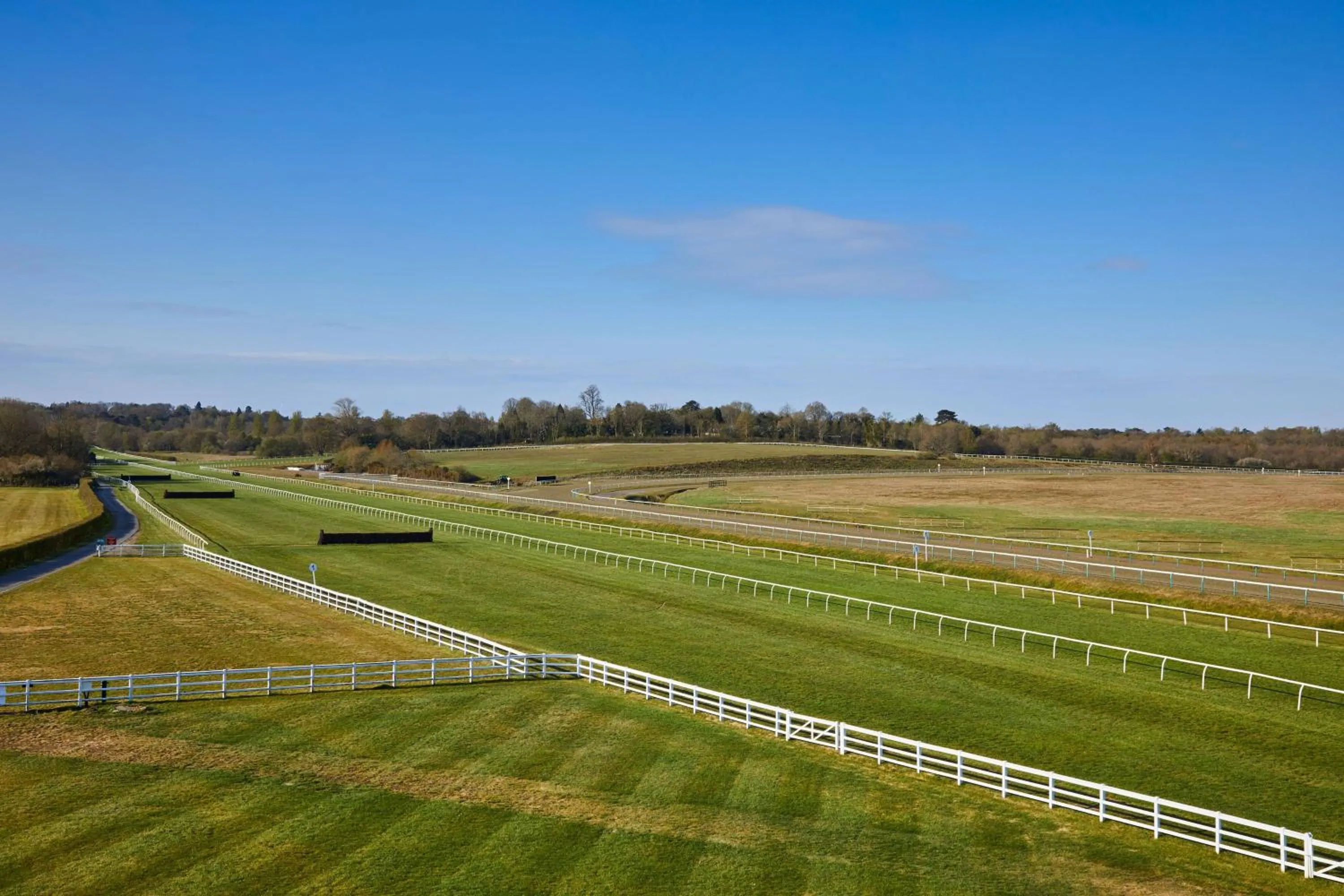 Photo of the whole room in Lingfield Park Marriott Hotel & Country Club