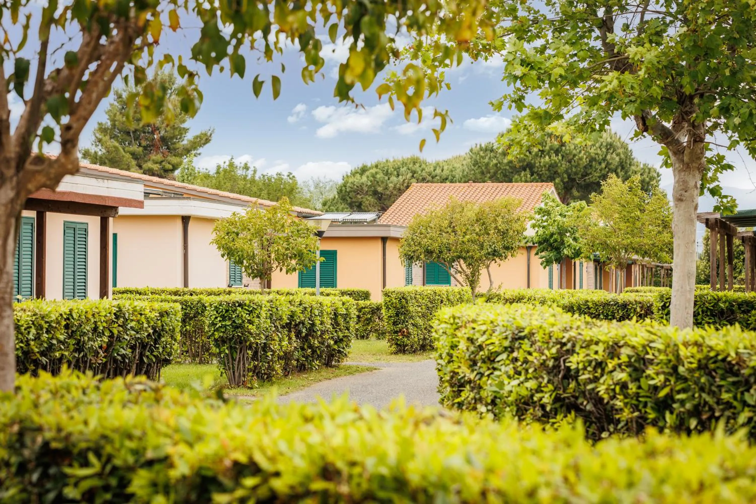 Neighbourhood in Villaggio Turistico La Cecinella