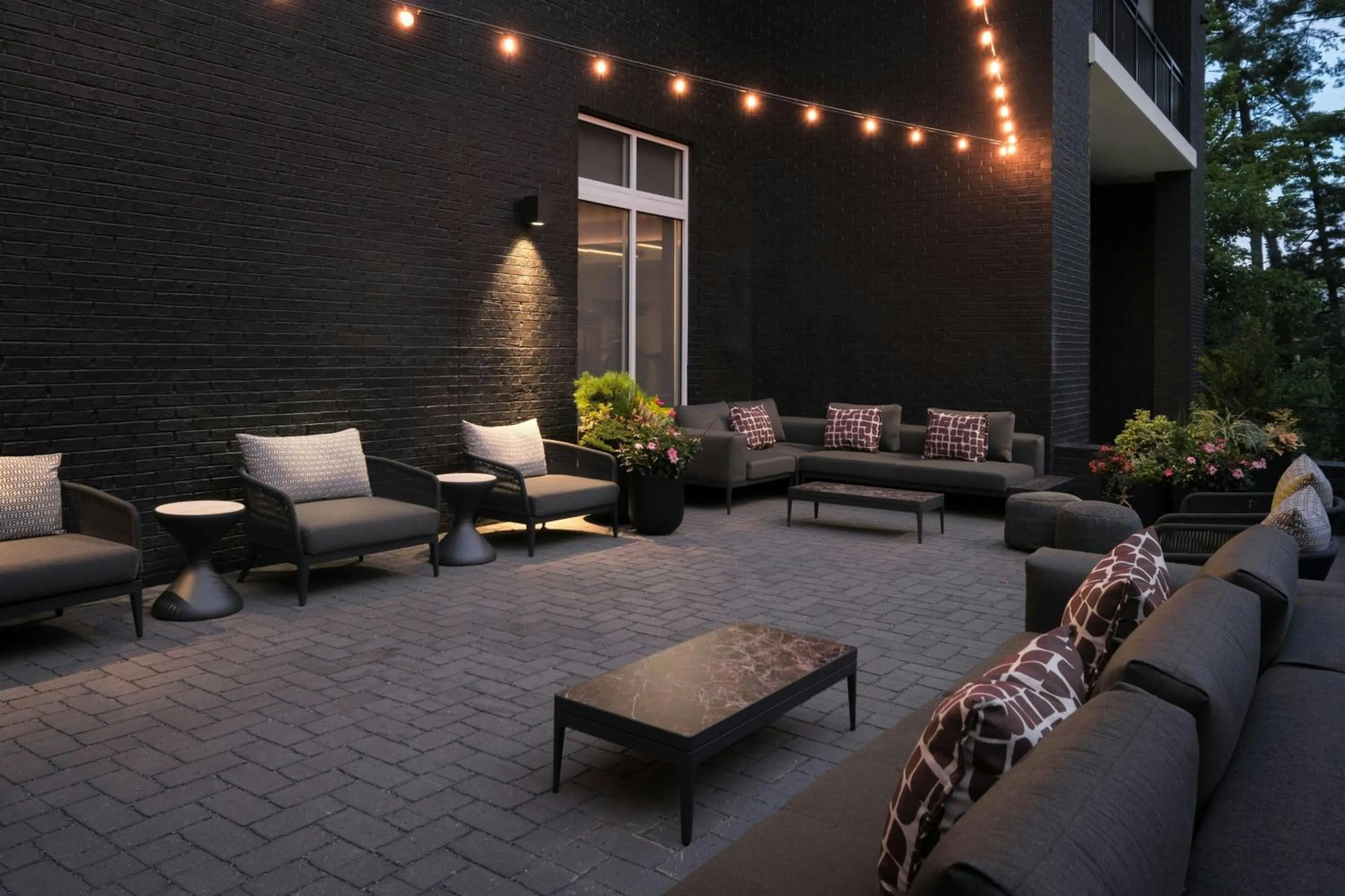 View (from property/room) in AC Hotel Asheville Biltmore Village