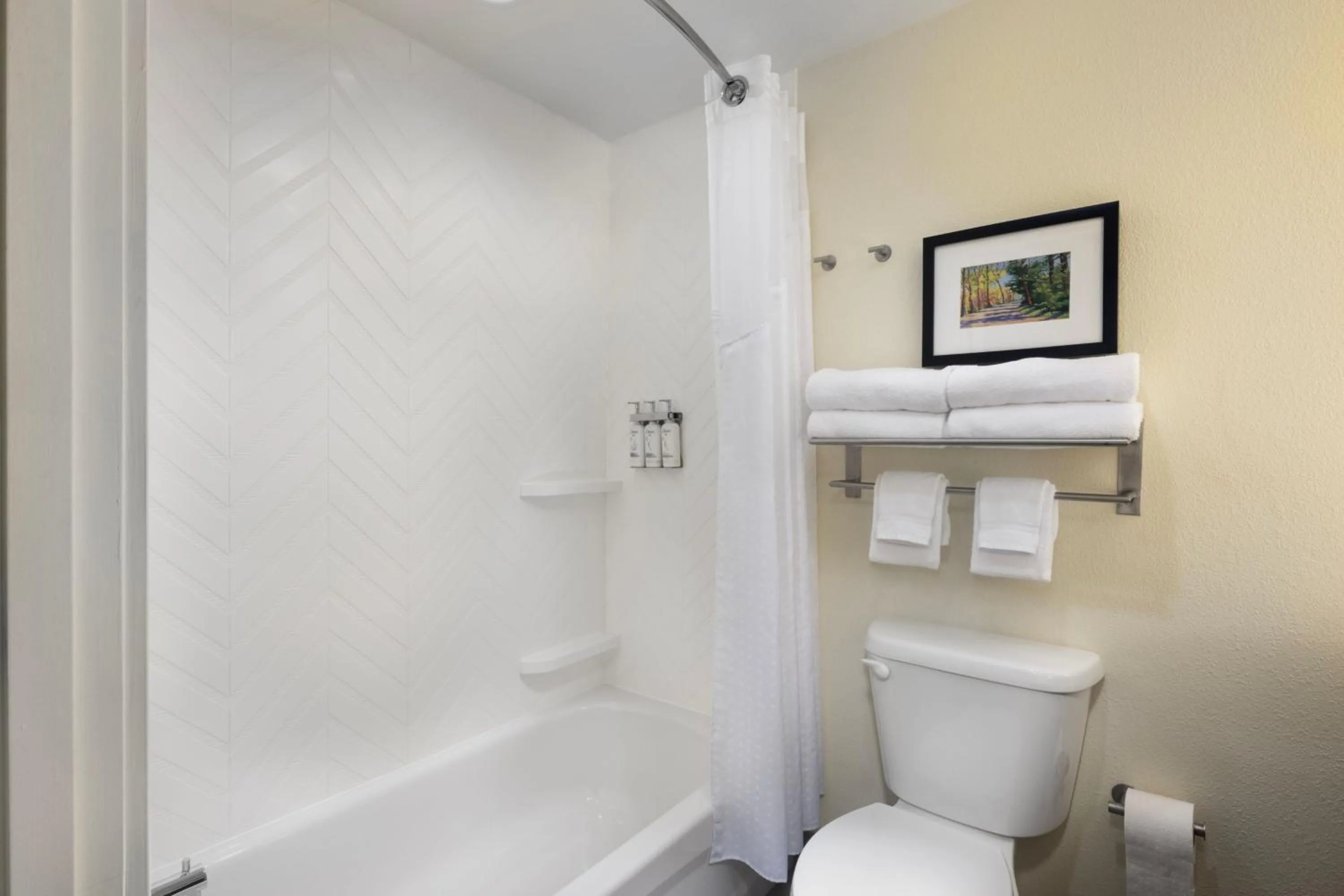 Bathroom in The Scenic Hotel at Biltmore Village