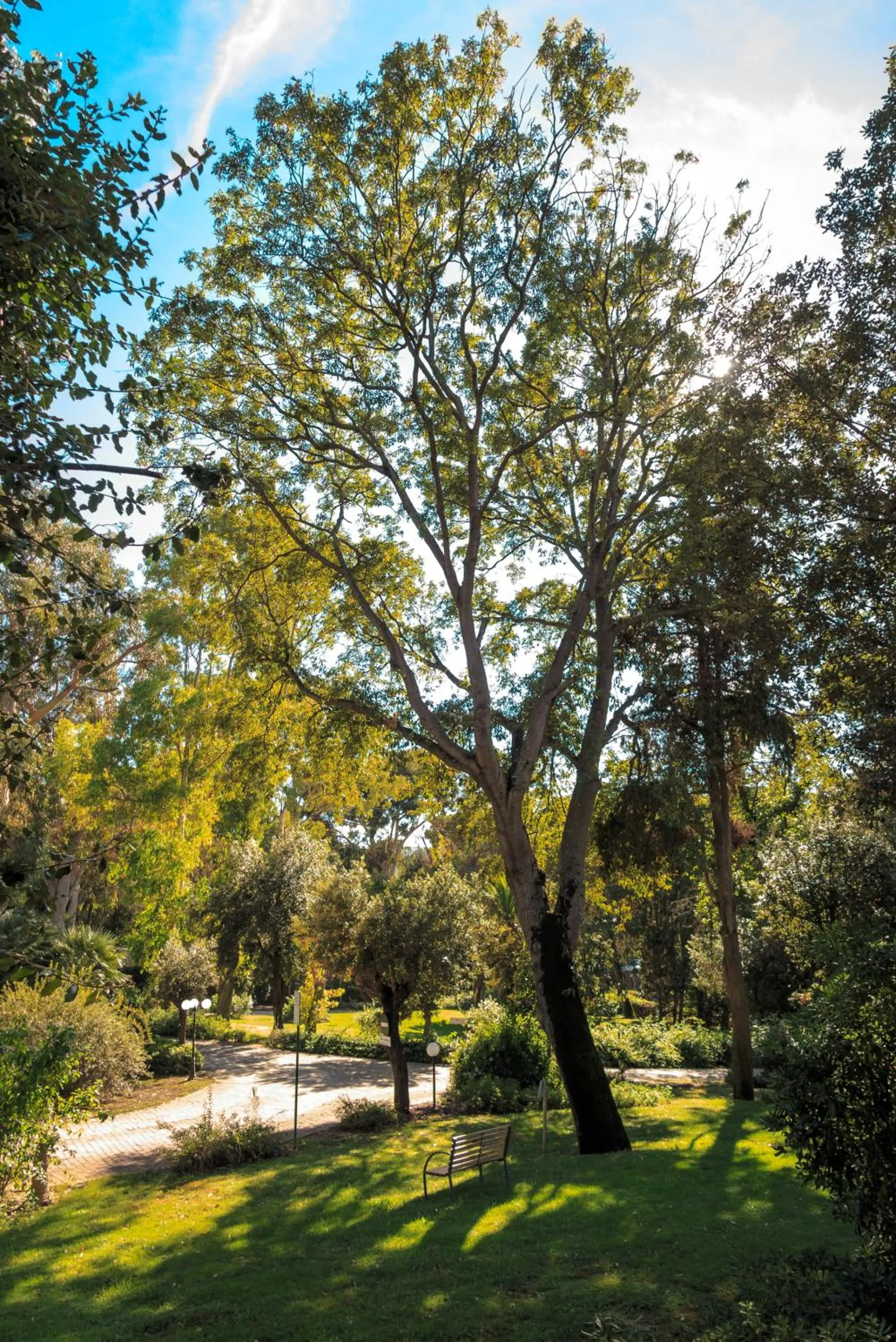 Natural landscape in Hotel Villa Ottone
