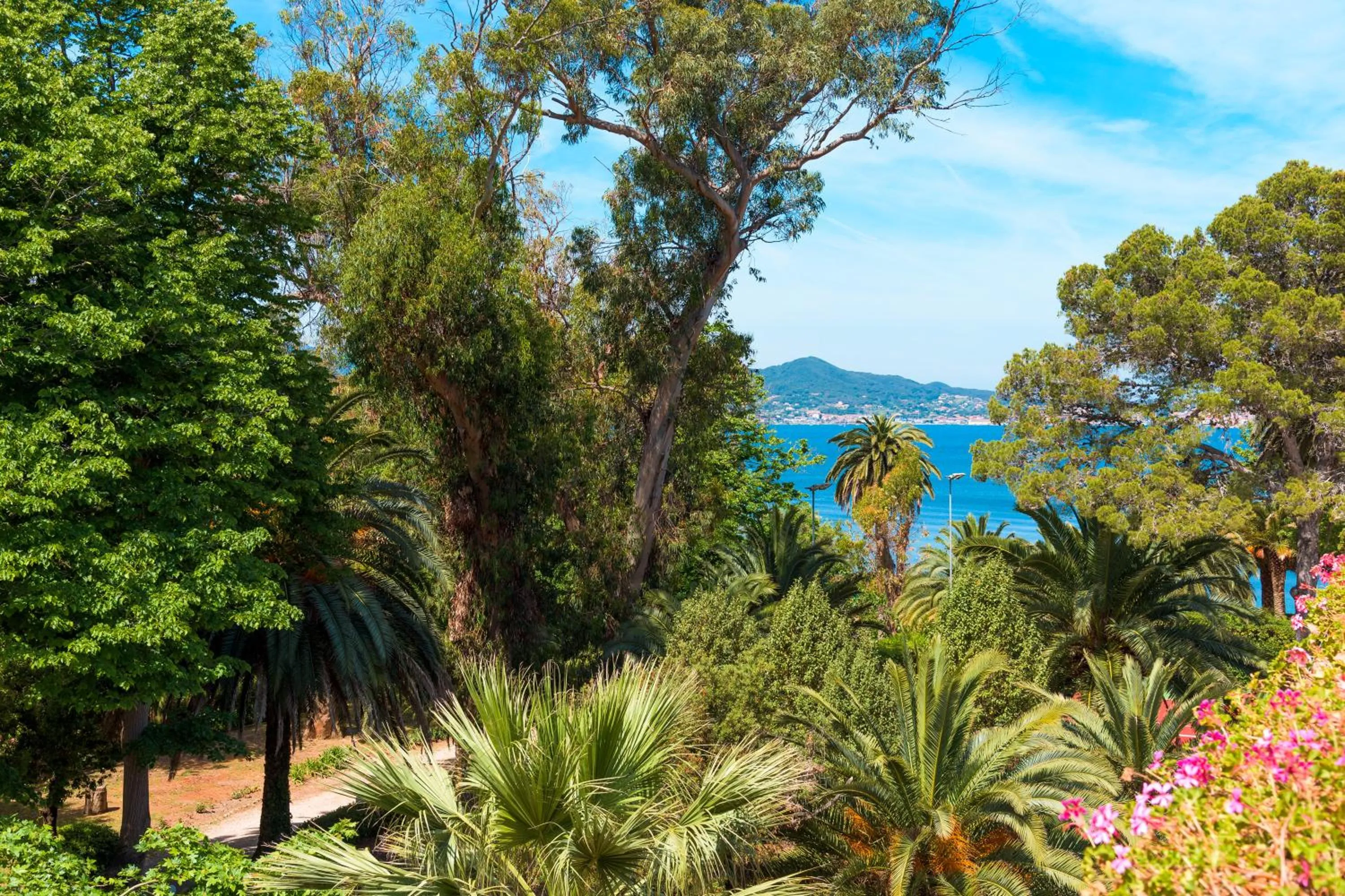 Garden view in Hotel Villa Ottone