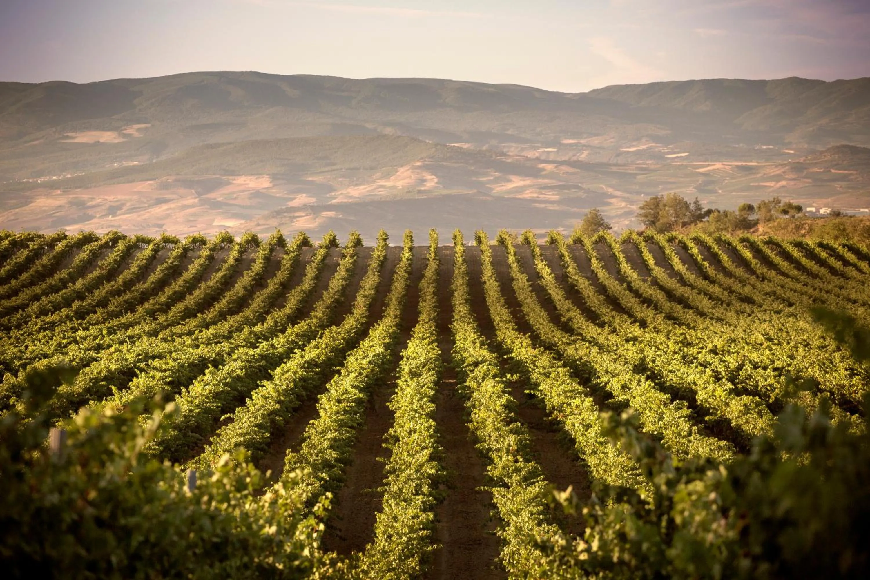 Area and facilities in Hotel Eguren Ugarte