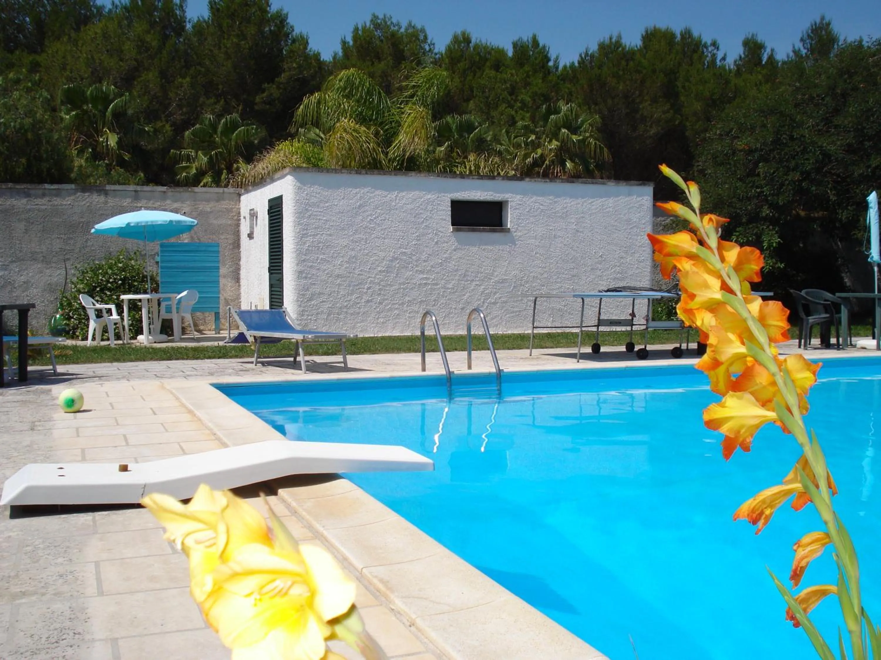 Table tennis in Breezes B&B