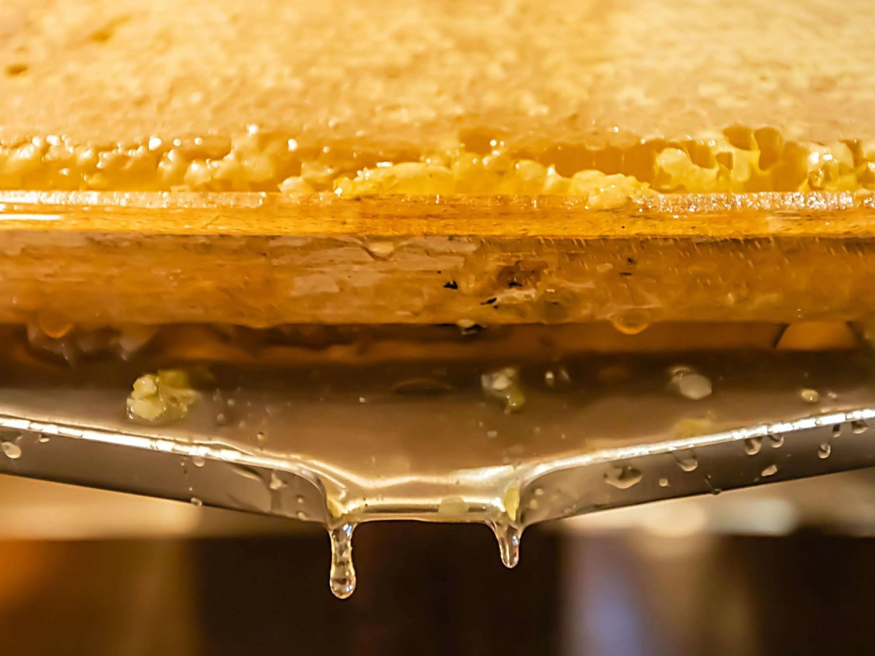 Breakfast in Hotel ibis Porto Gaia