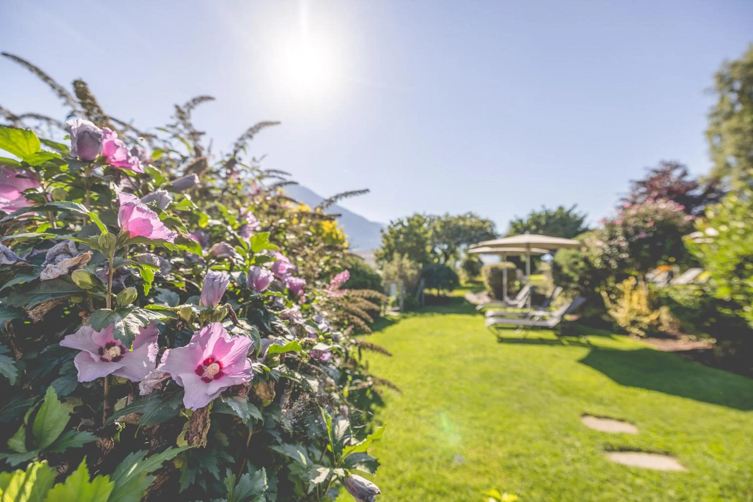 Summer in Gartenhotel Crystal - 4 Sterne Superior