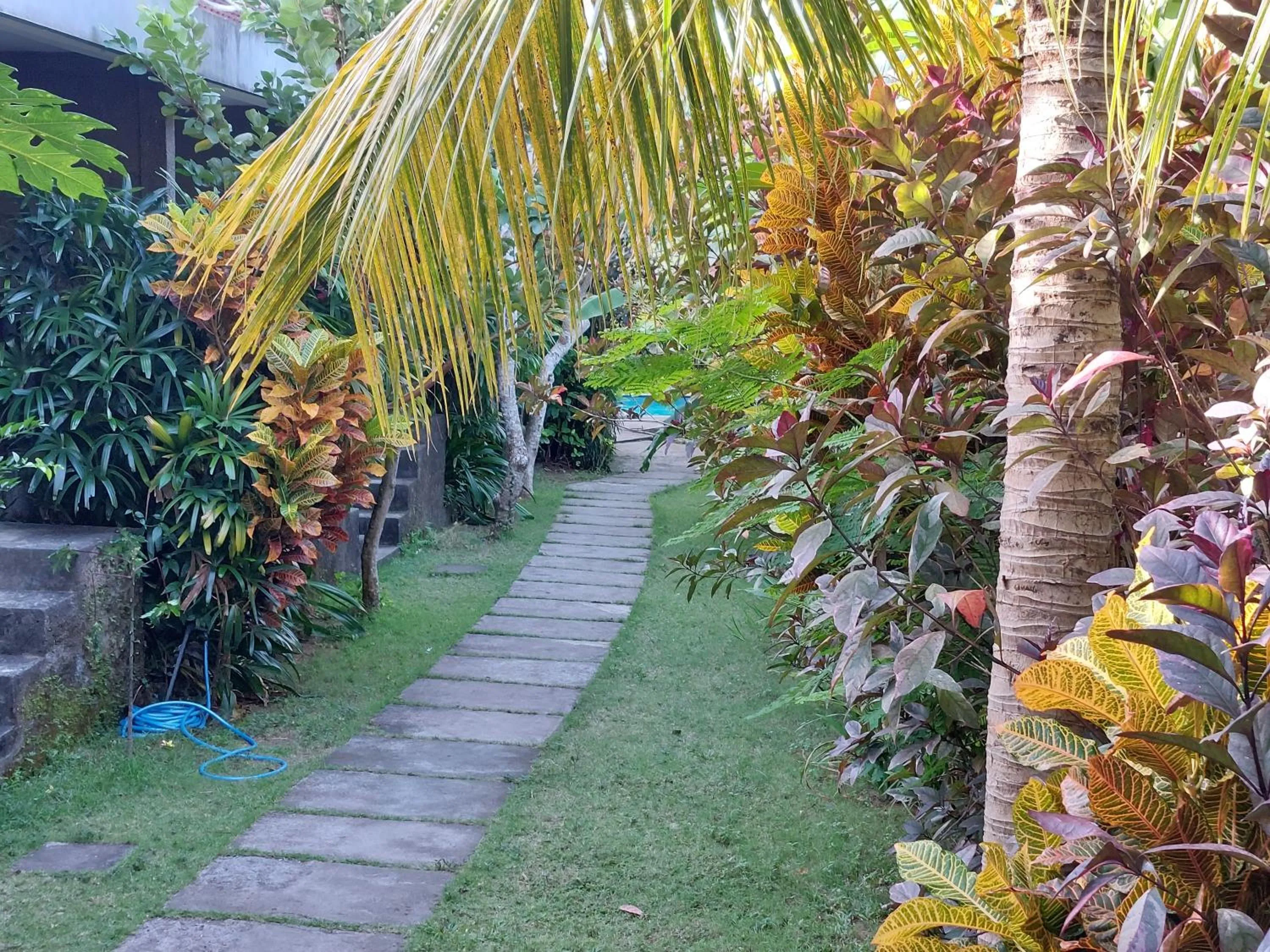 Garden view in Willy Homestay