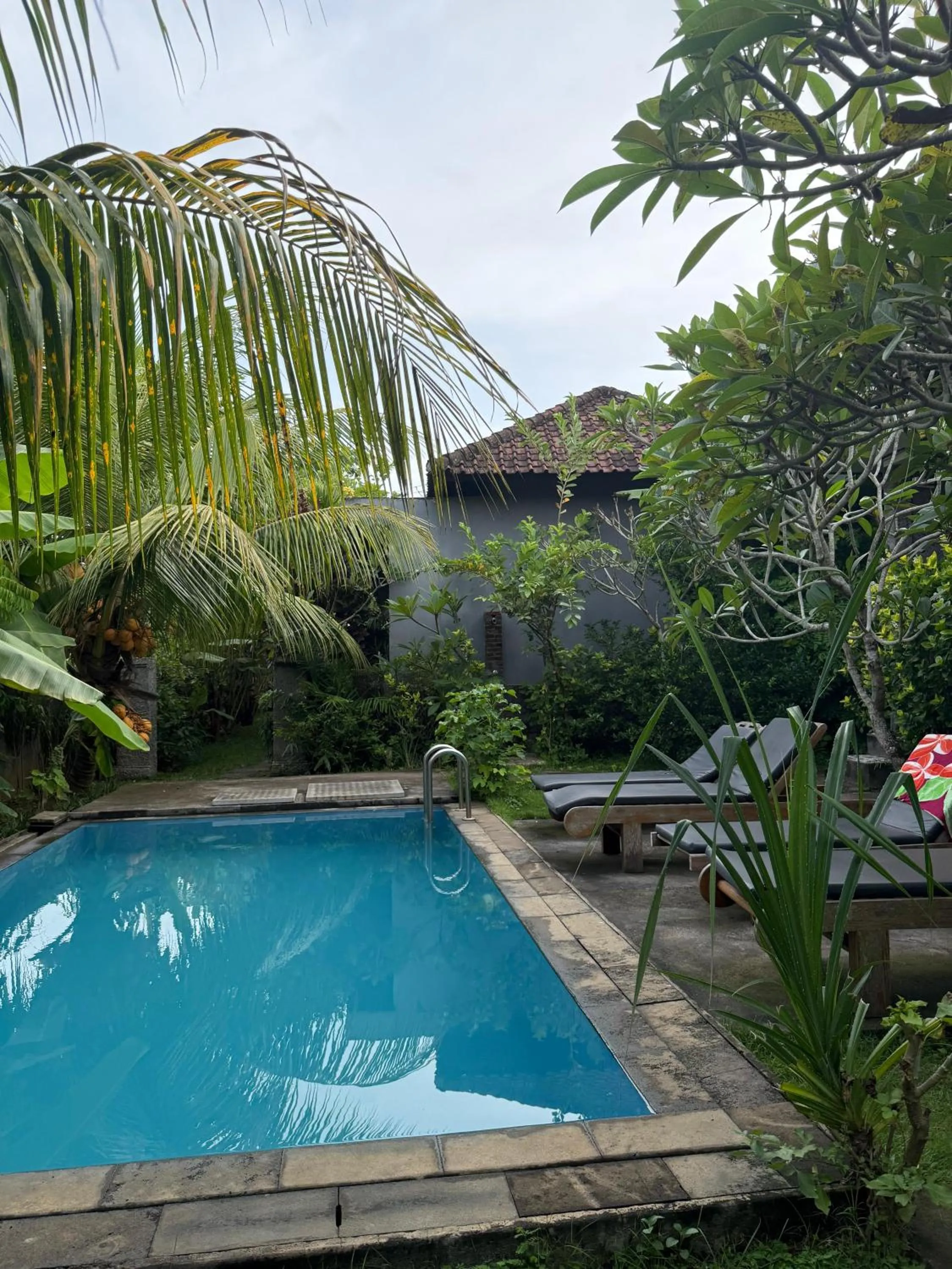 Pool view in Willy Homestay