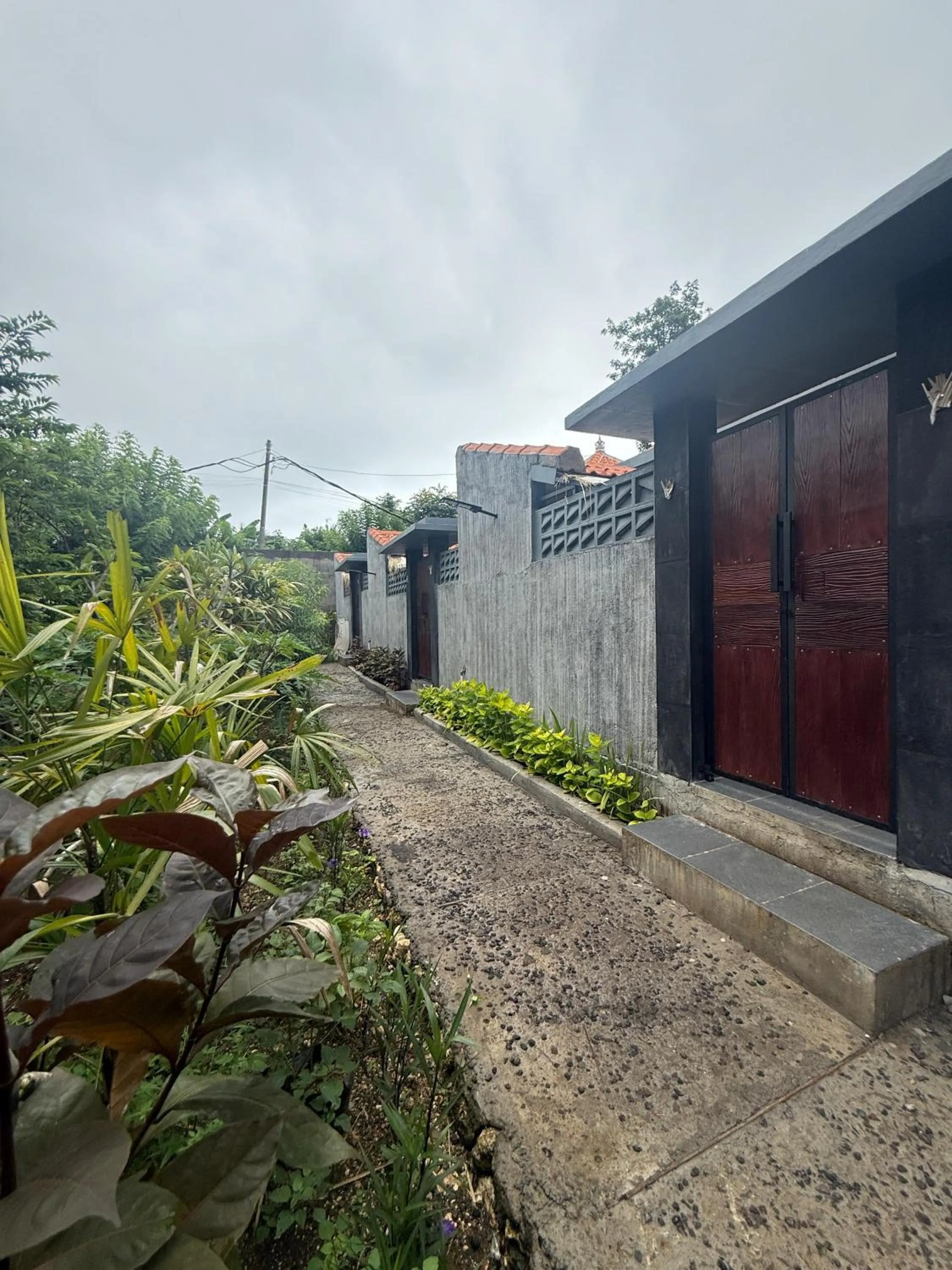 Day in Willy Homestay