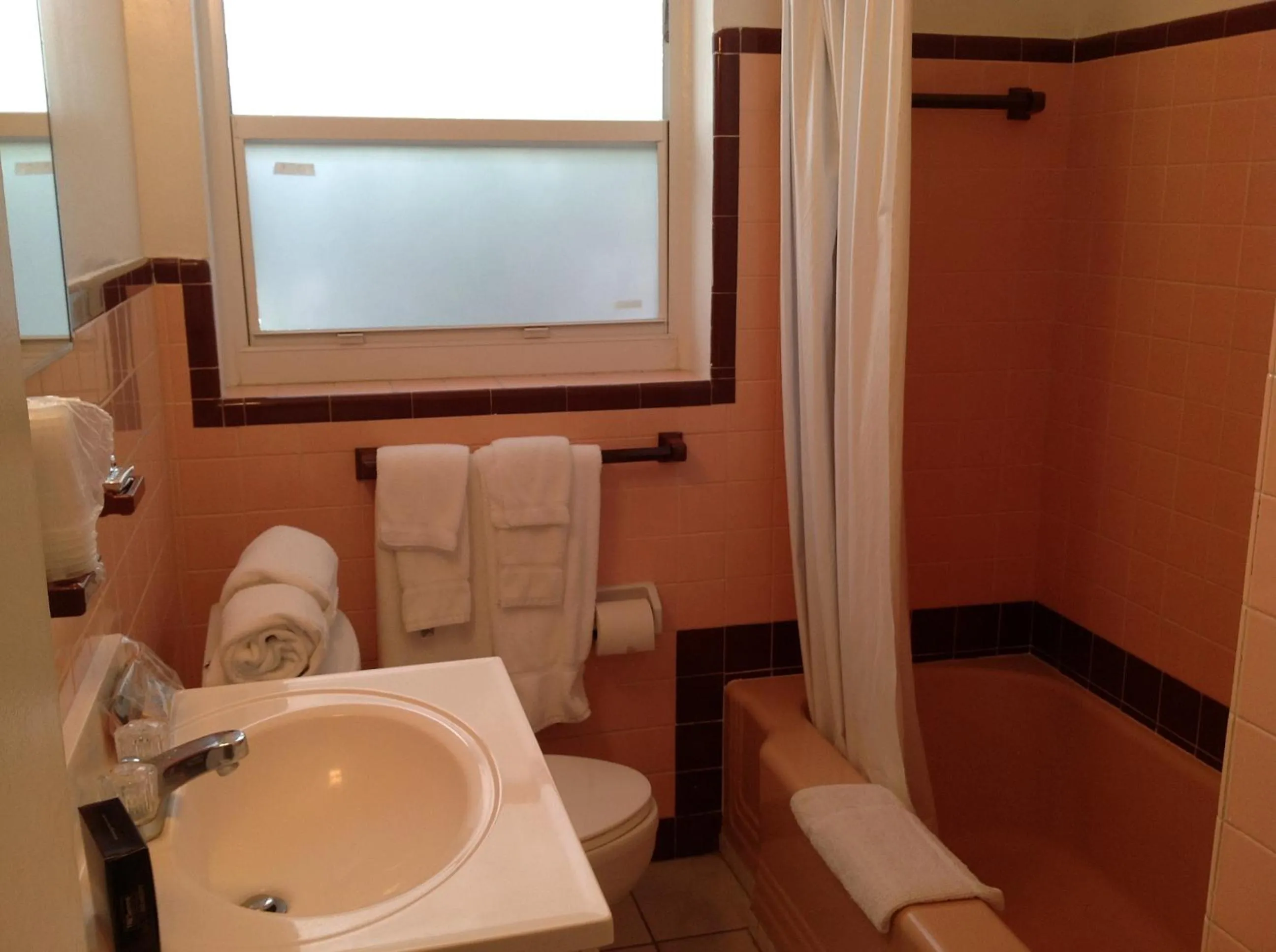 Bathroom in Birch Patio Motel