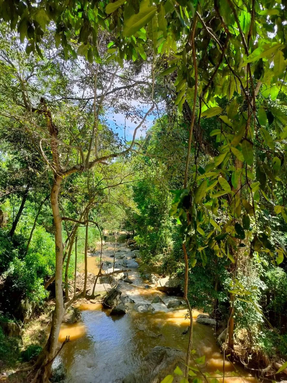 Natural landscape in Maesa Greenery Hill SHA