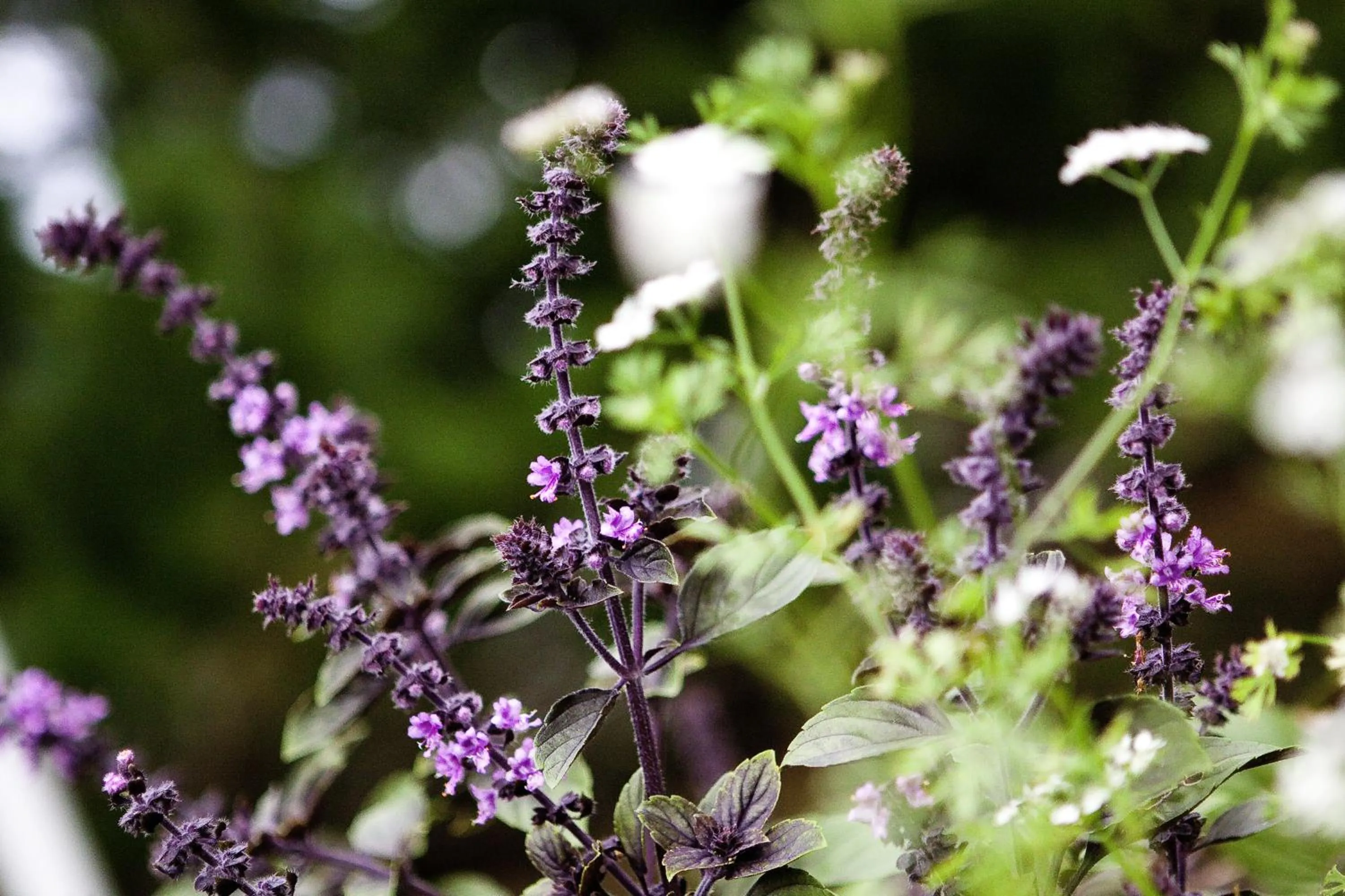 Decorative detail in Hotell Gyllene Hornet