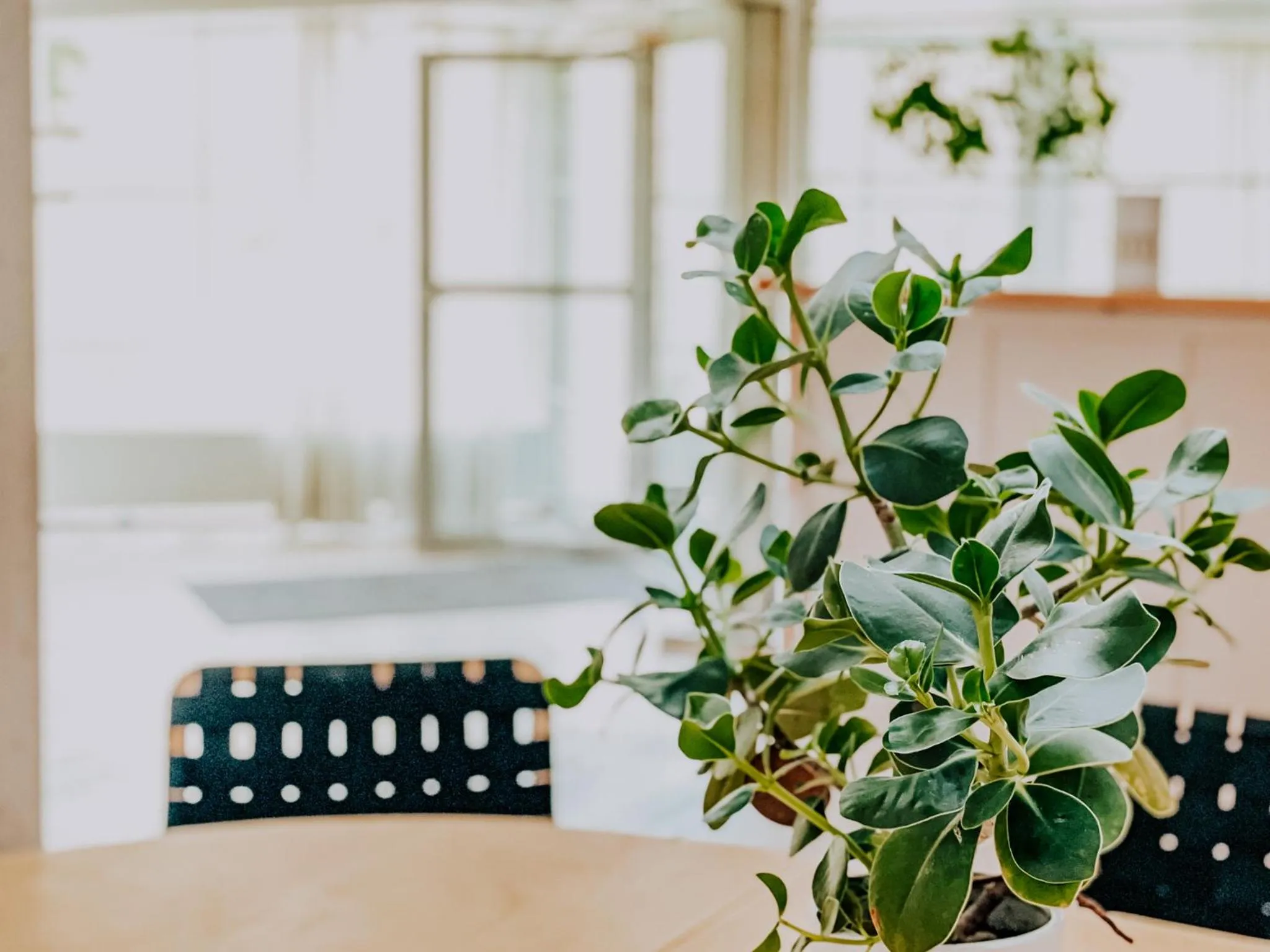 Decorative detail in Hotell Gyllene Hornet