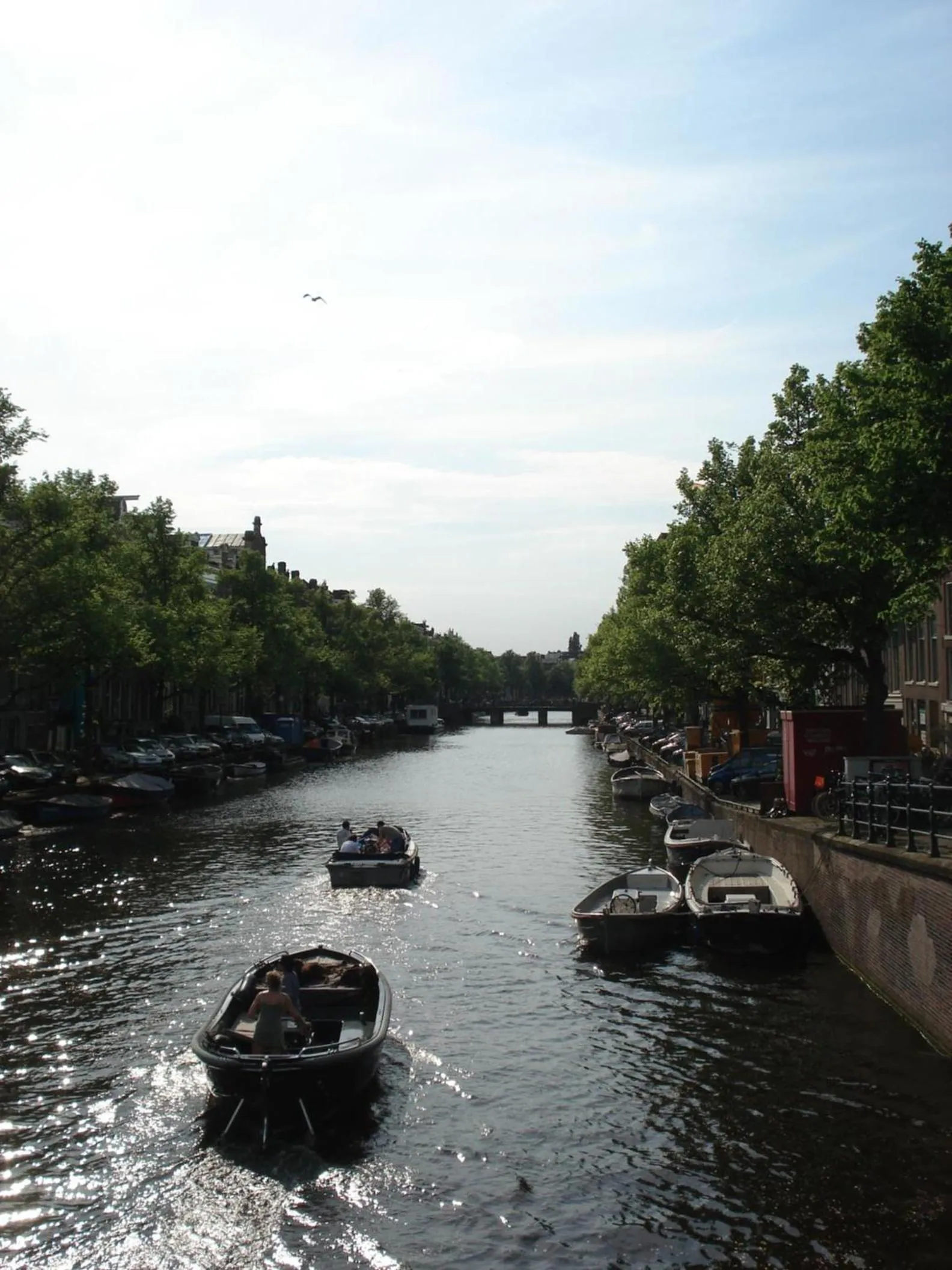 Neighbourhood in The Blue Stairs