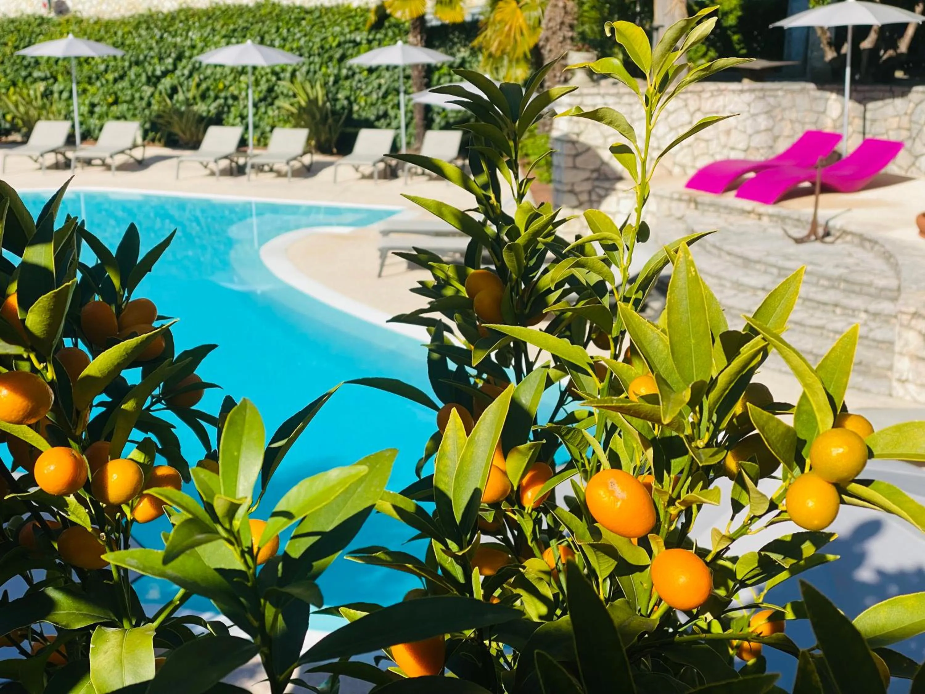 Day in Villa Miravalle