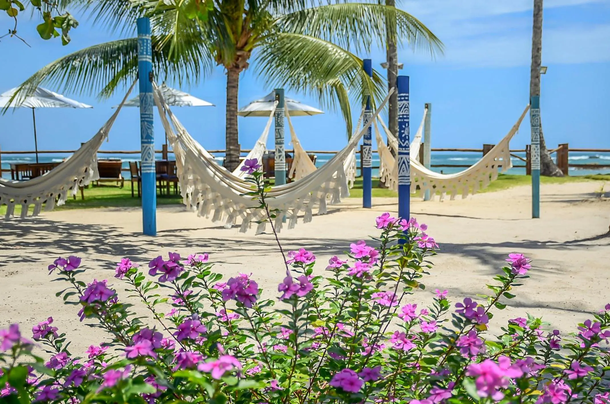 Area and facilities in Villa dos Corais