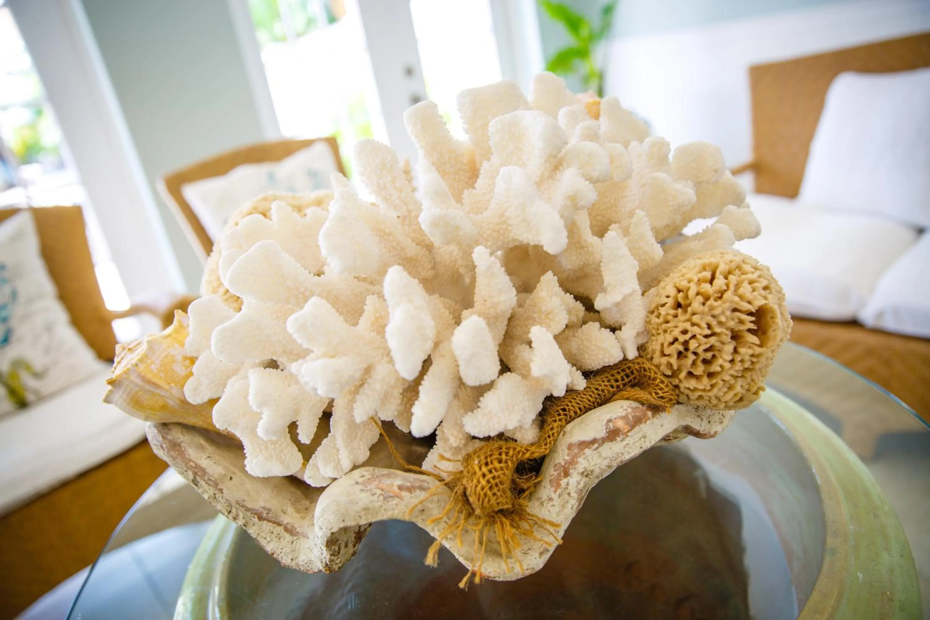 Property logo or sign in Naples Garden Inn