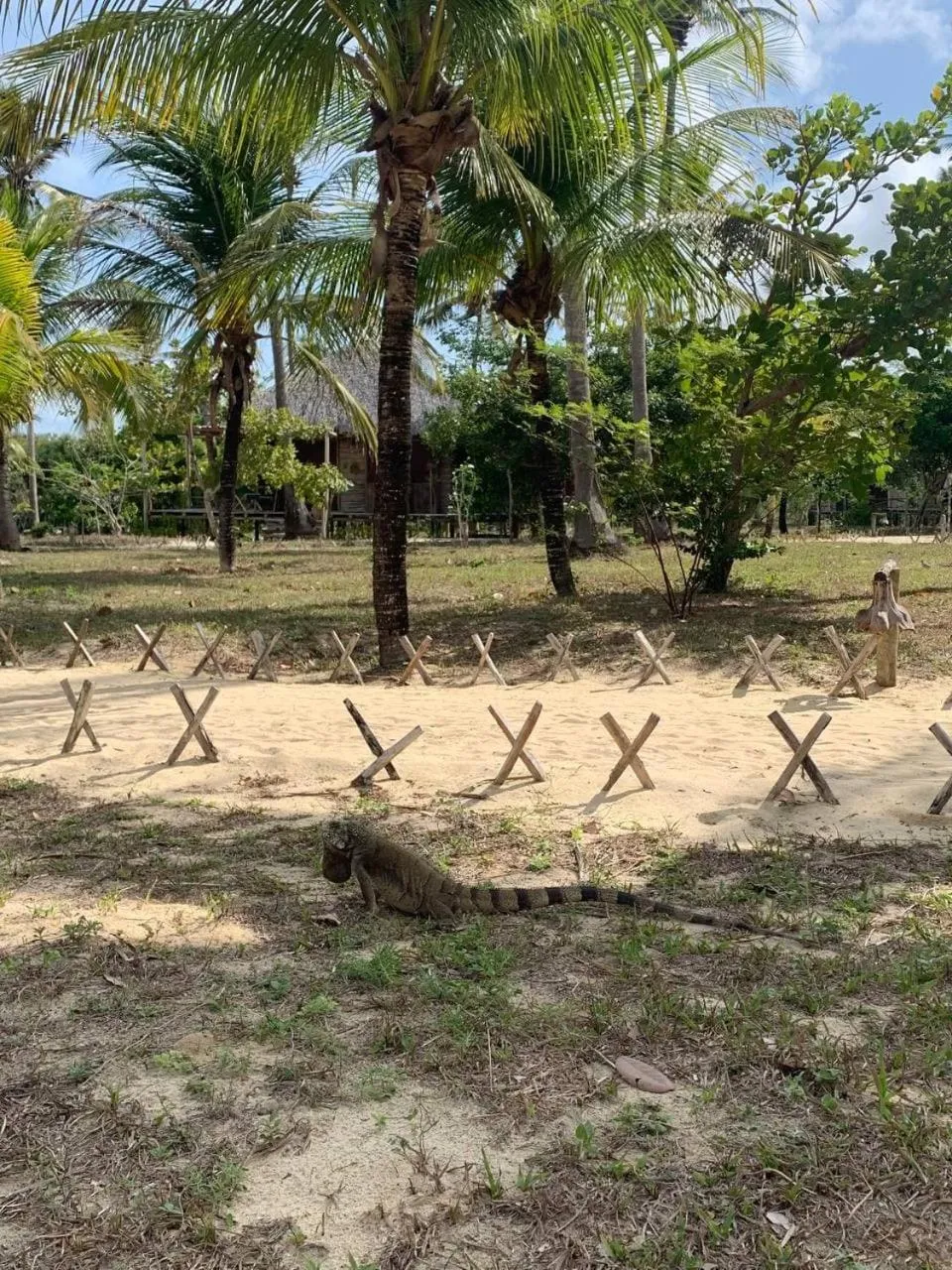 Garden in Rancho Do Peixe