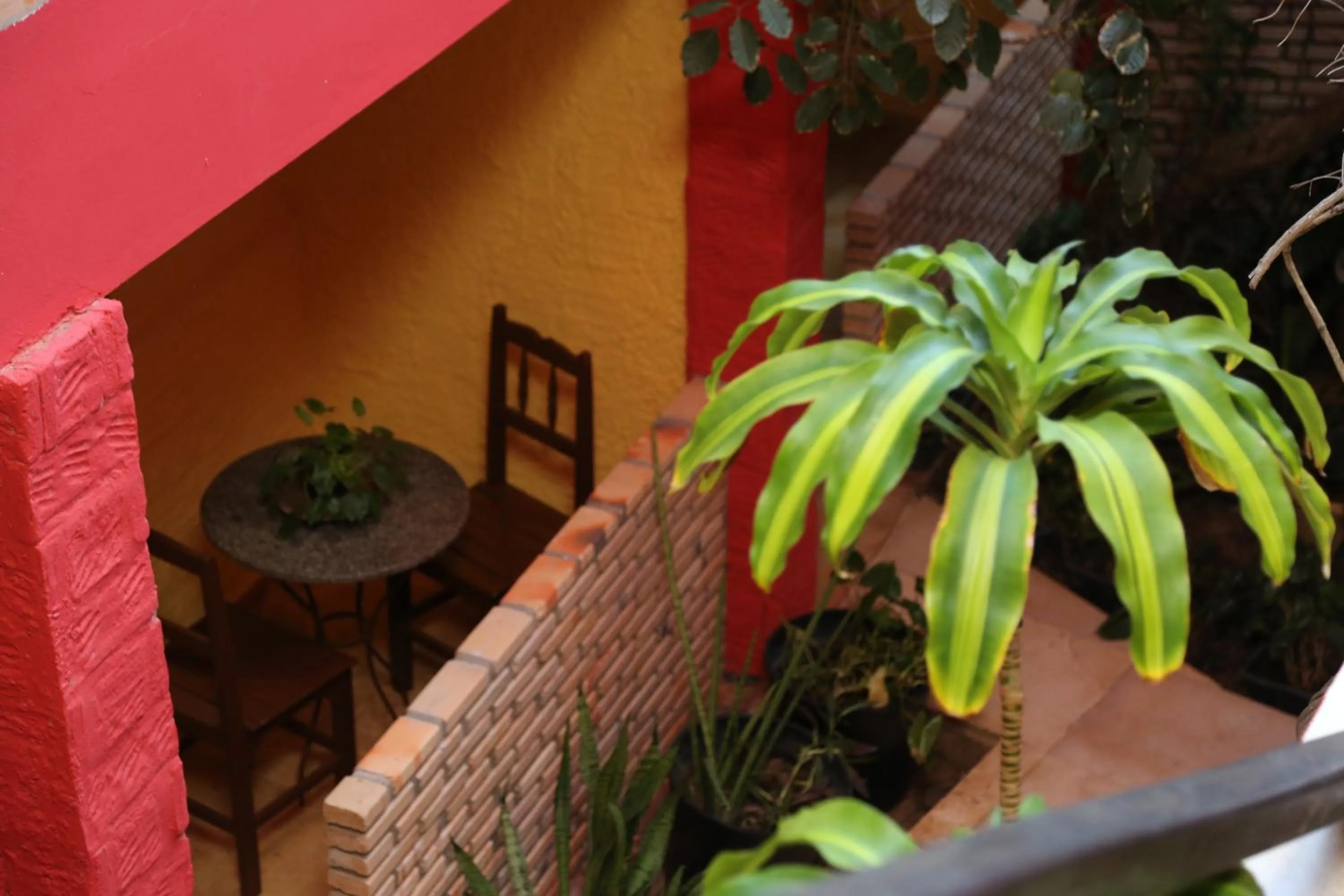 Garden in Hotel Pousada Latitude