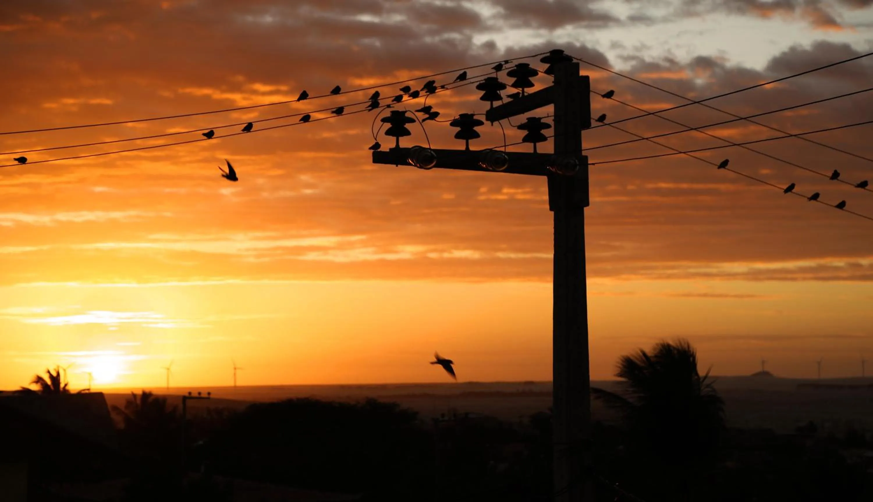 View (from property/room) in Hotel Pousada Latitude