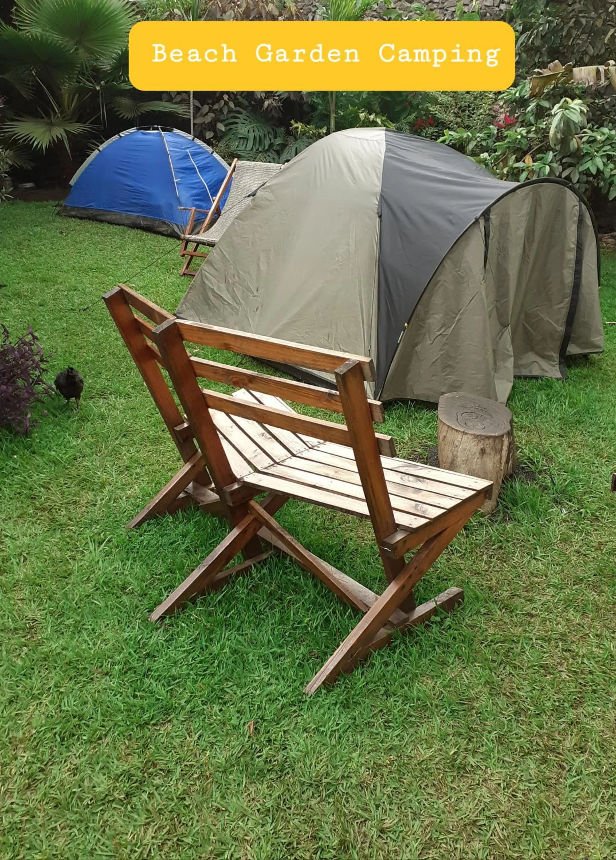 Garden in Kivu Beach Garden