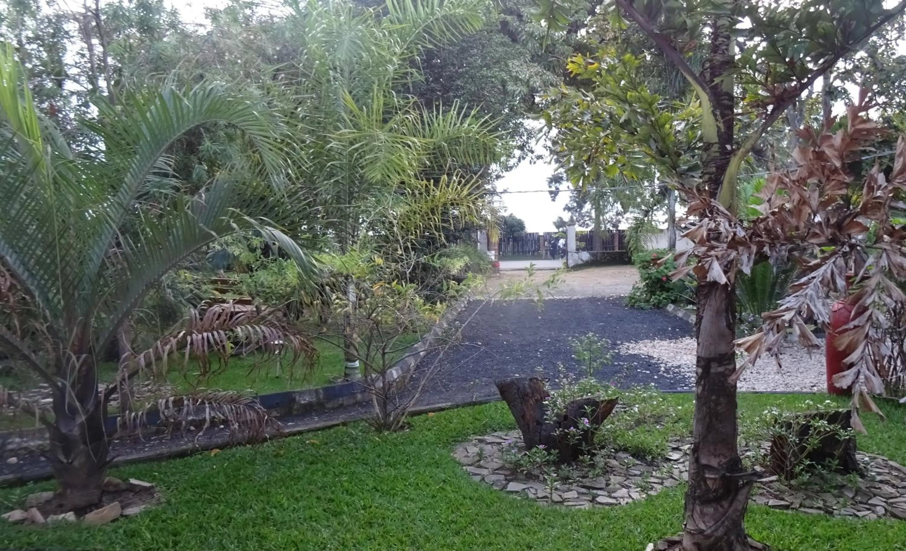 Lake view in Kivu Beach Garden