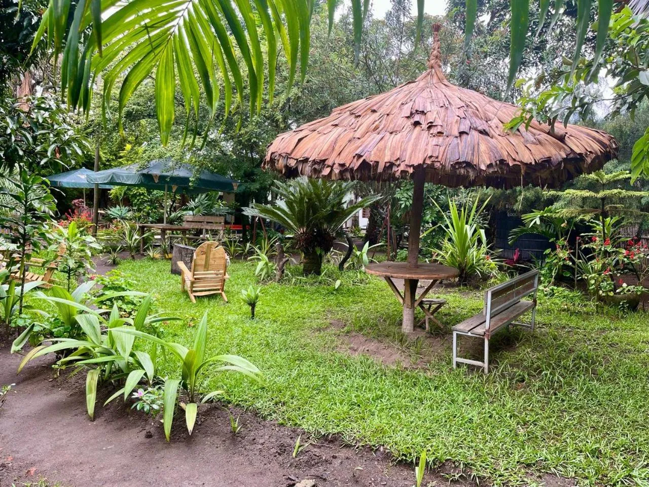 Garden in Kivu Beach Garden