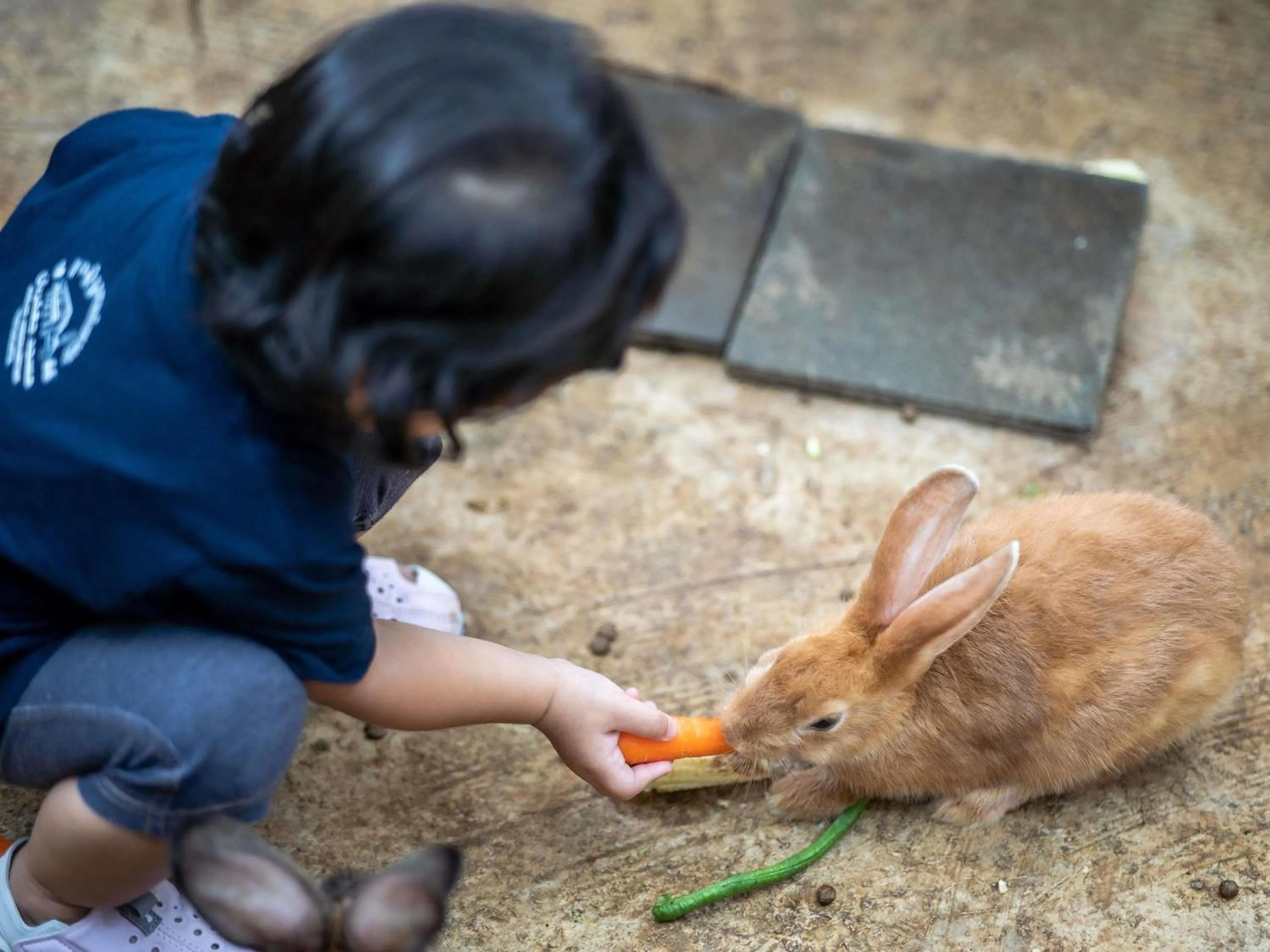 Other in Novotel Bogor Golf Resort