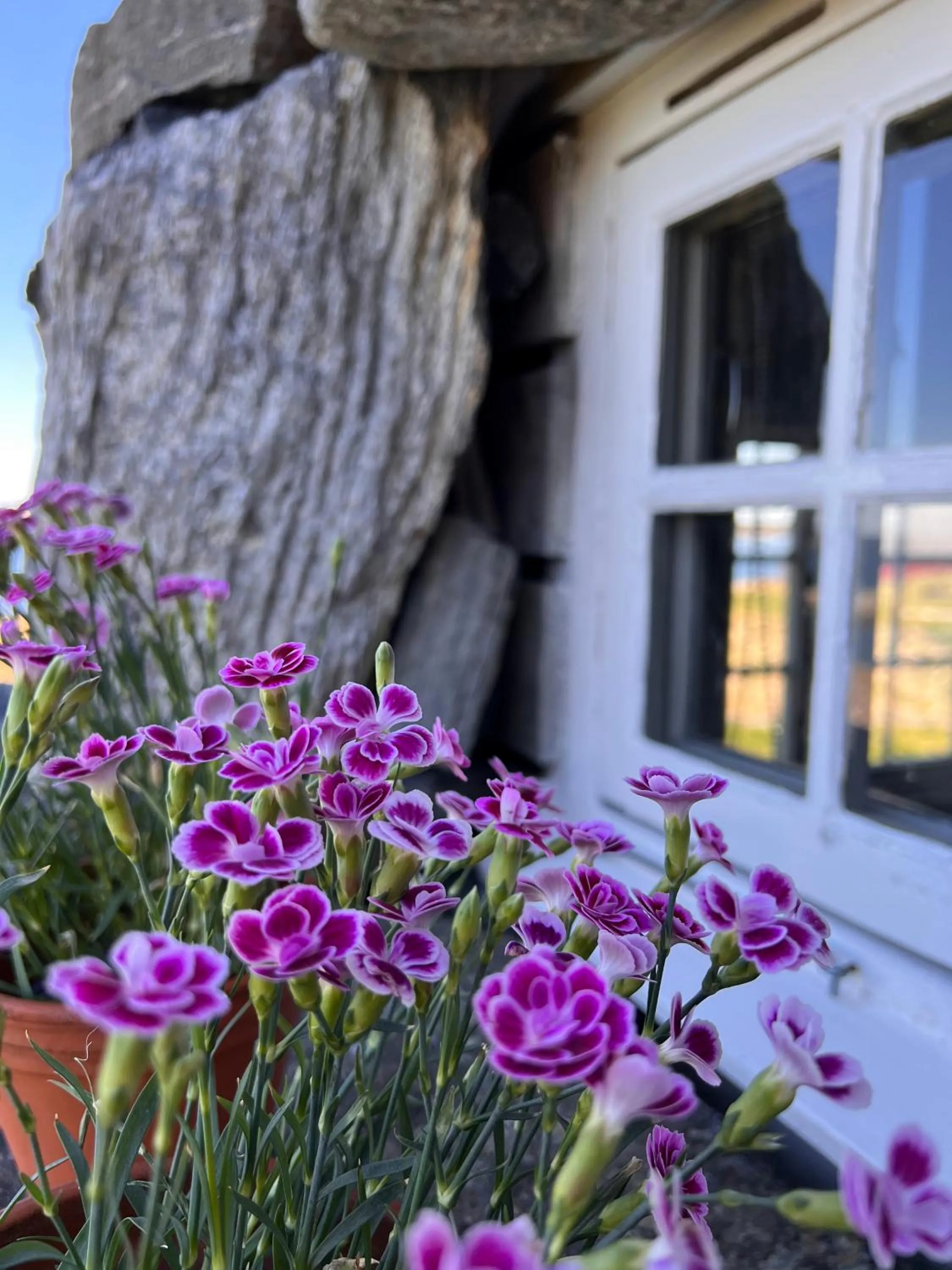 Garden in Håholmen - by Classic Norway Hotels