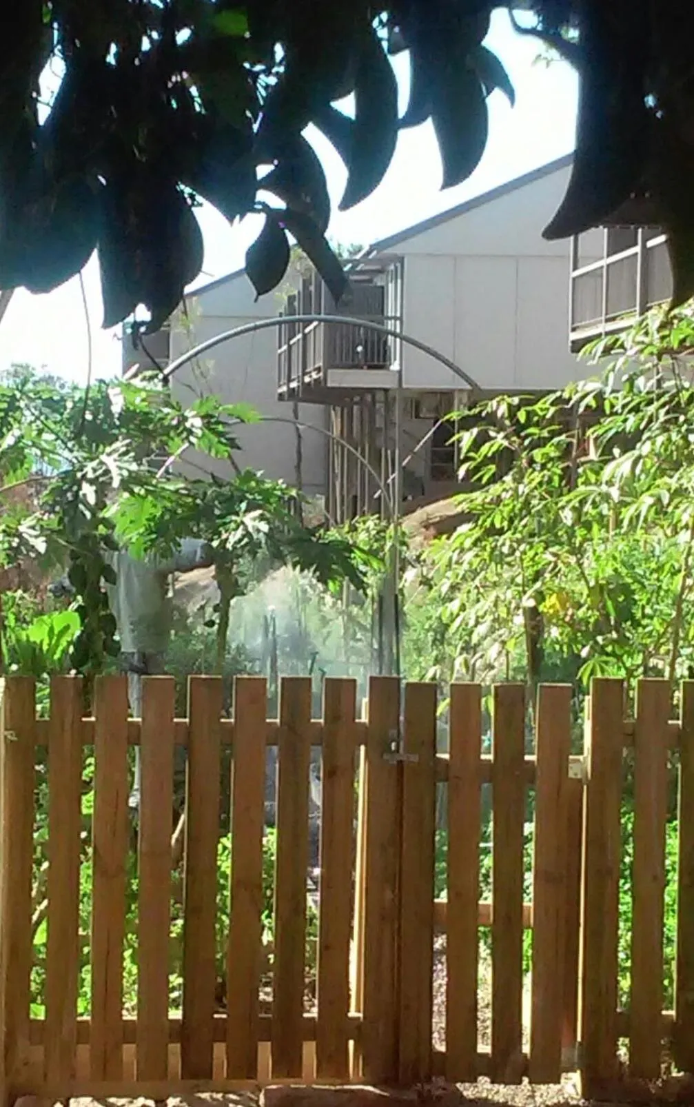 Garden in Mercure Clear Mountain Lodge