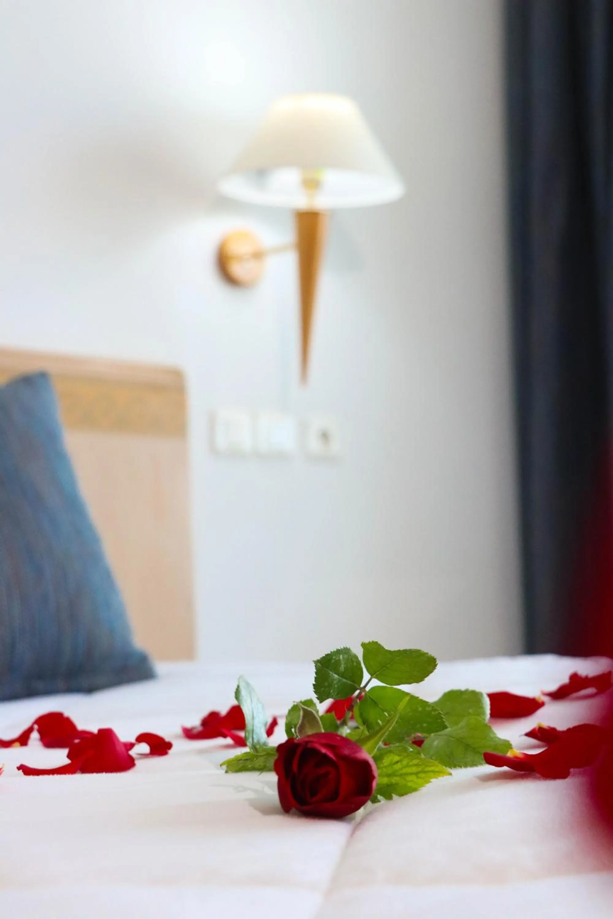 Bed in Bizerta Resort Congres & SPA