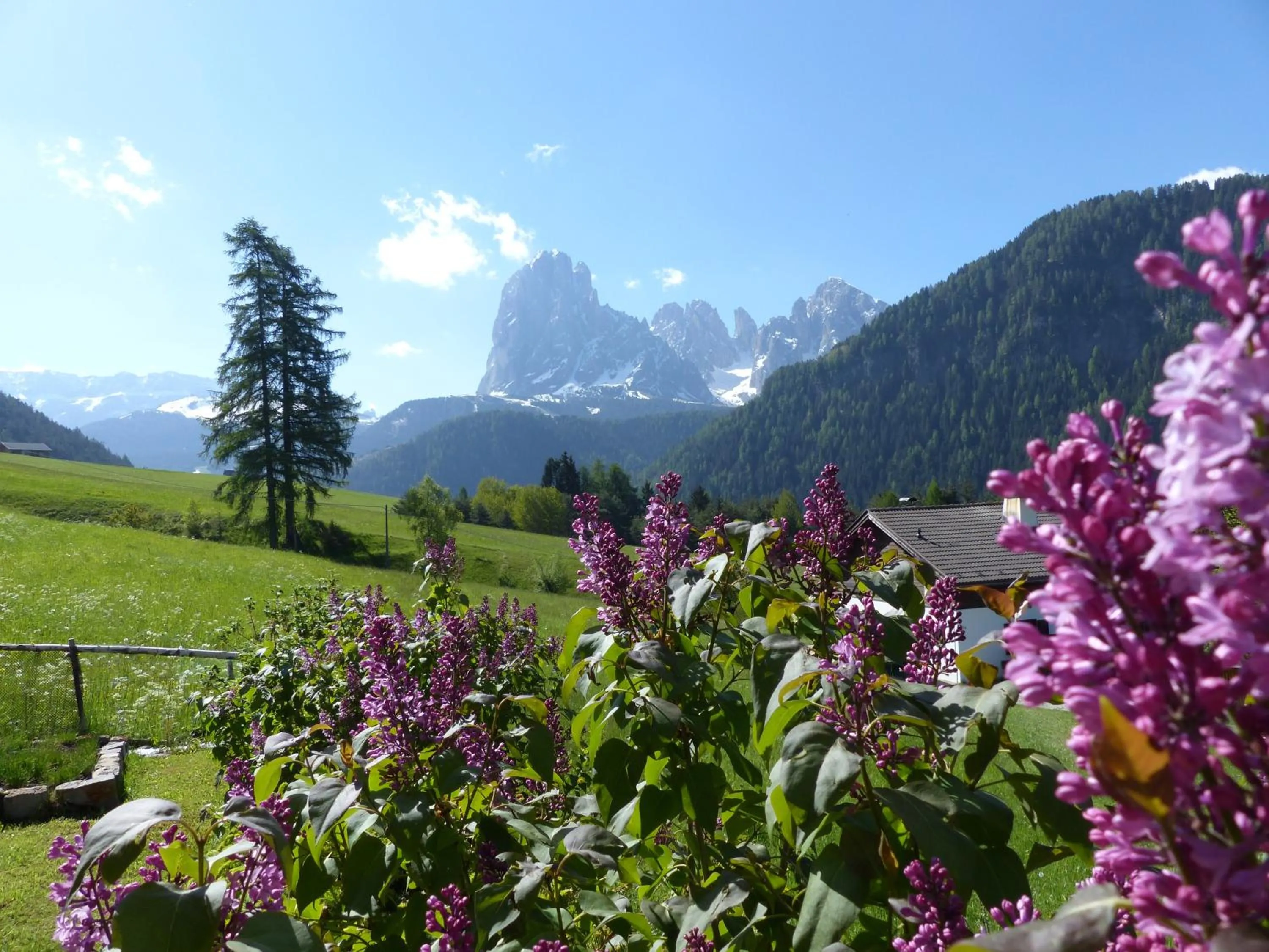 Summer in Hotel Ansitz Jakoberhof