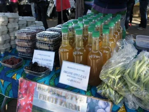 Activities in Charlotte Guest House