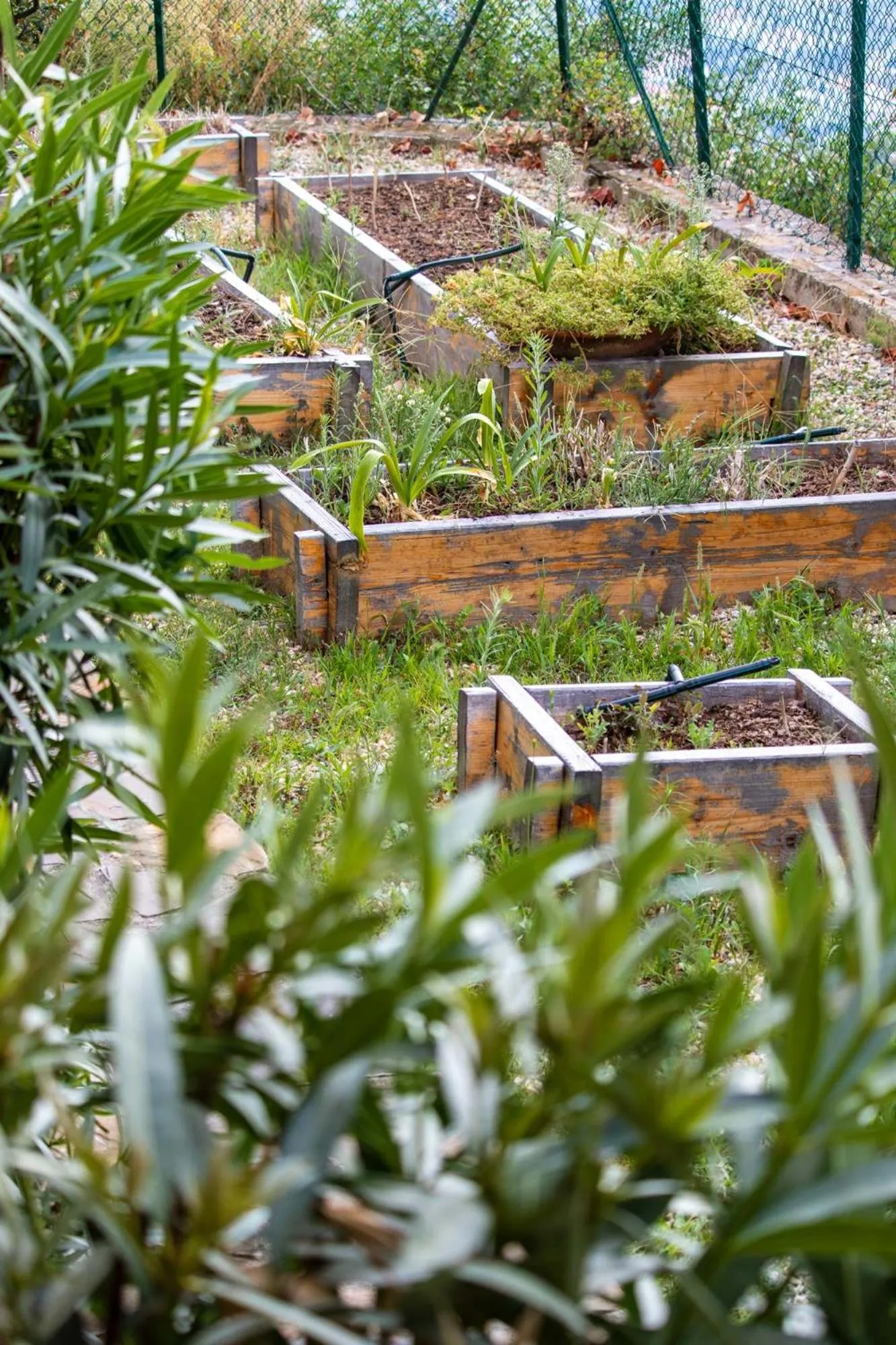 Garden in Il Mirto B&B