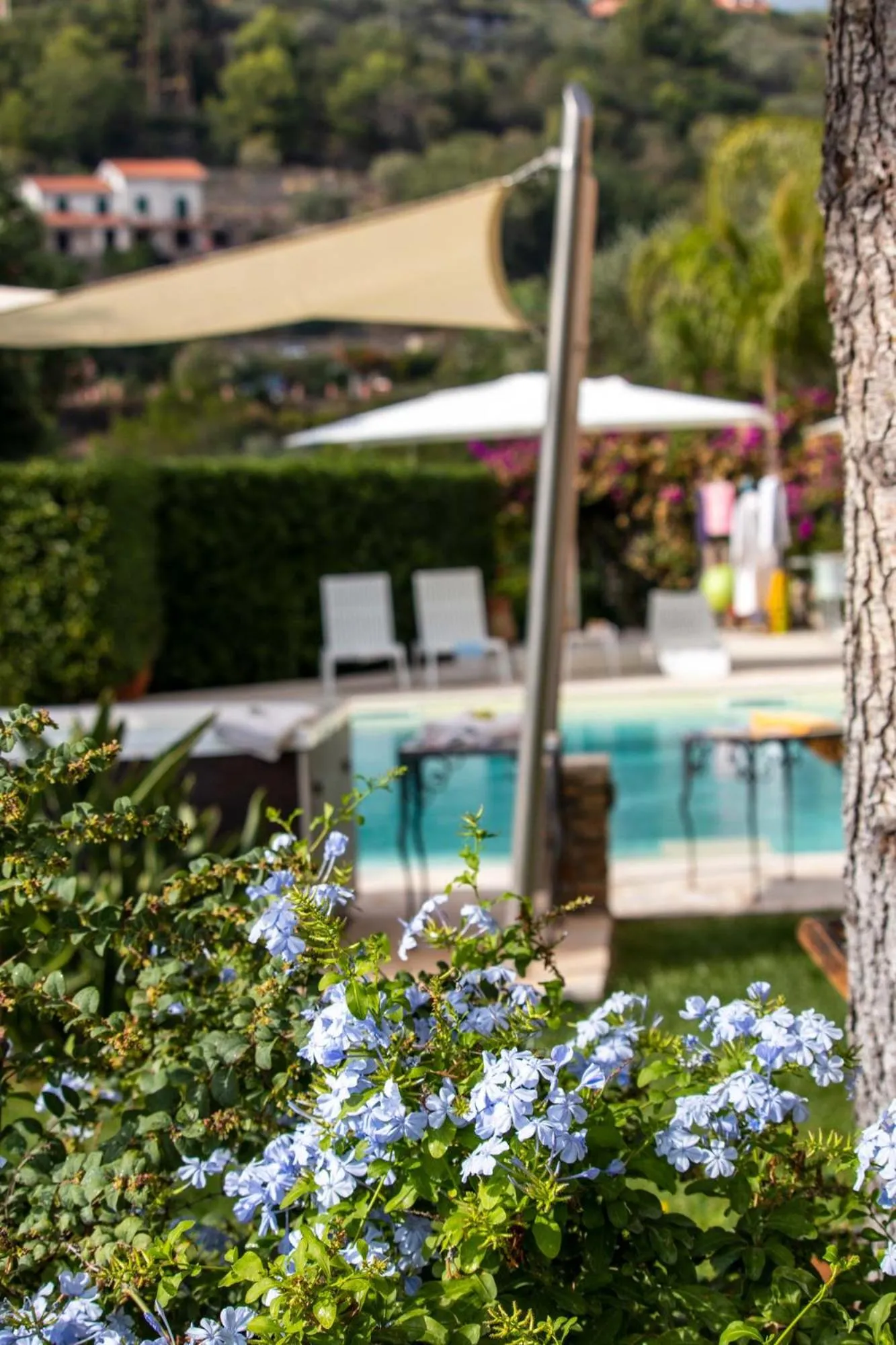 Garden in Il Mirto B&B